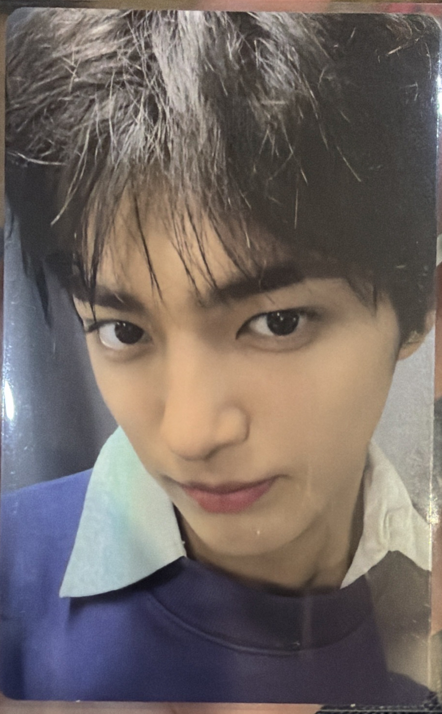 Cortis ST電子專 安乾鎬