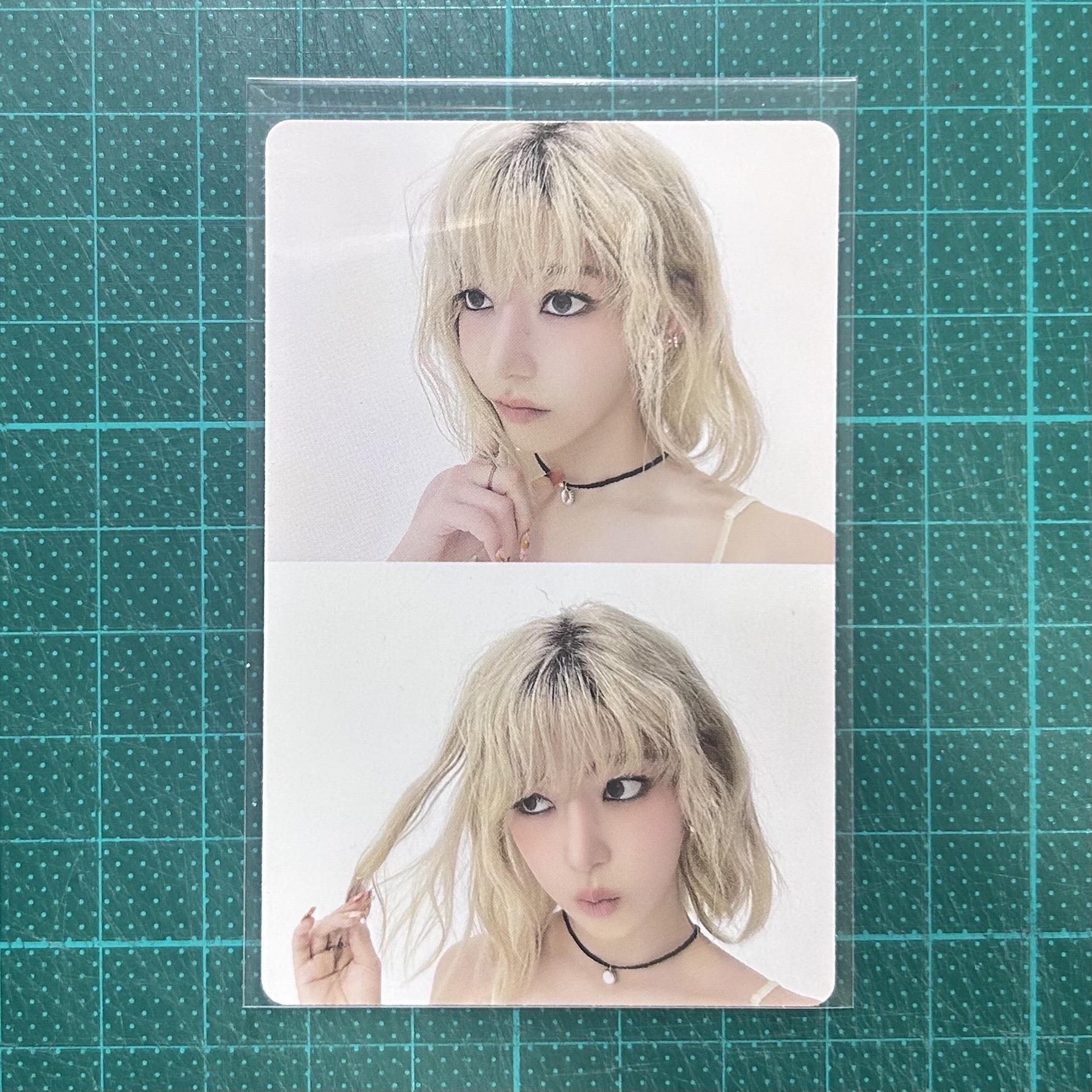 HOT 櫻花 專輯卡 