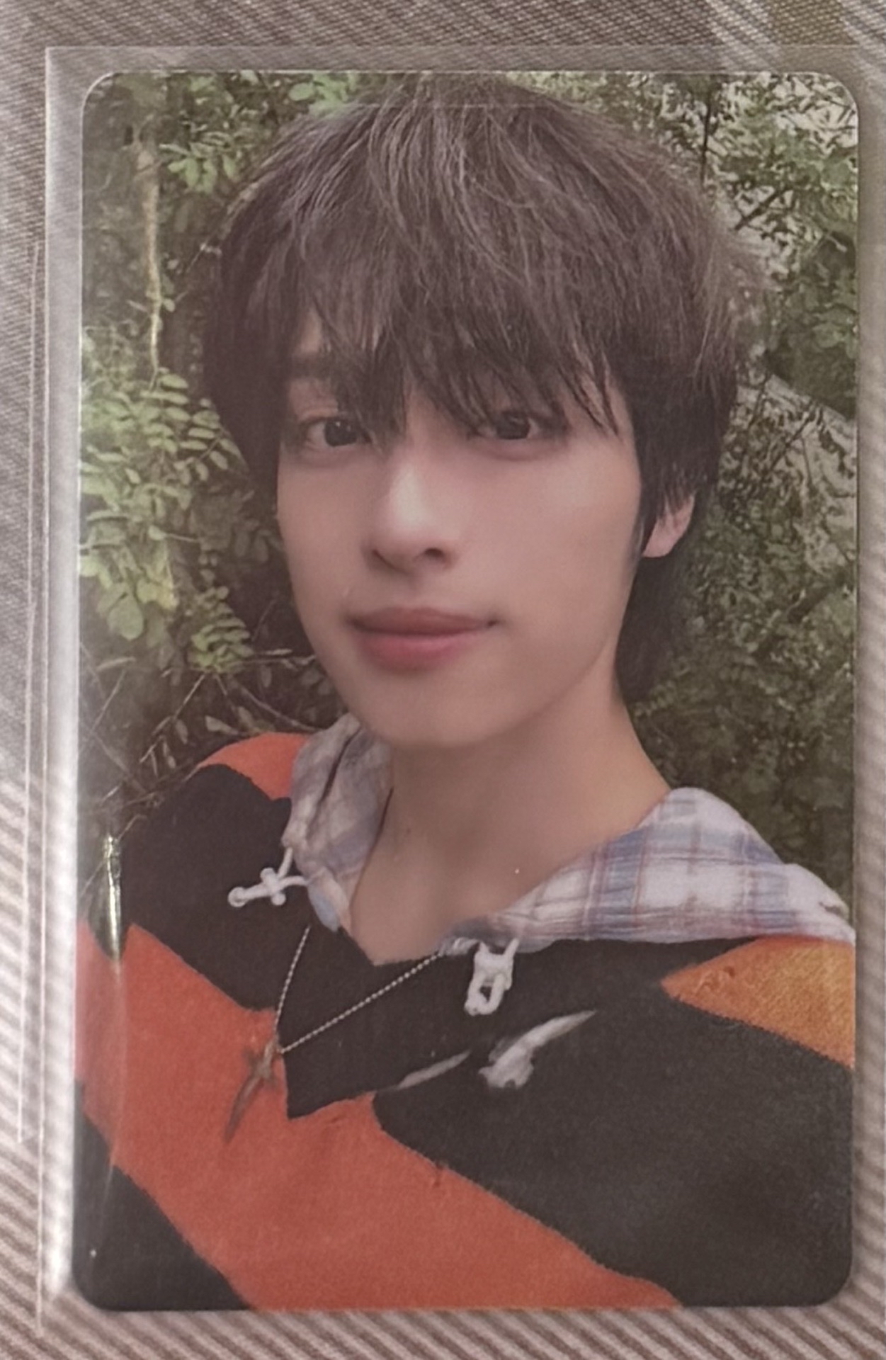 LIVE and FALL wf 幸運卡 