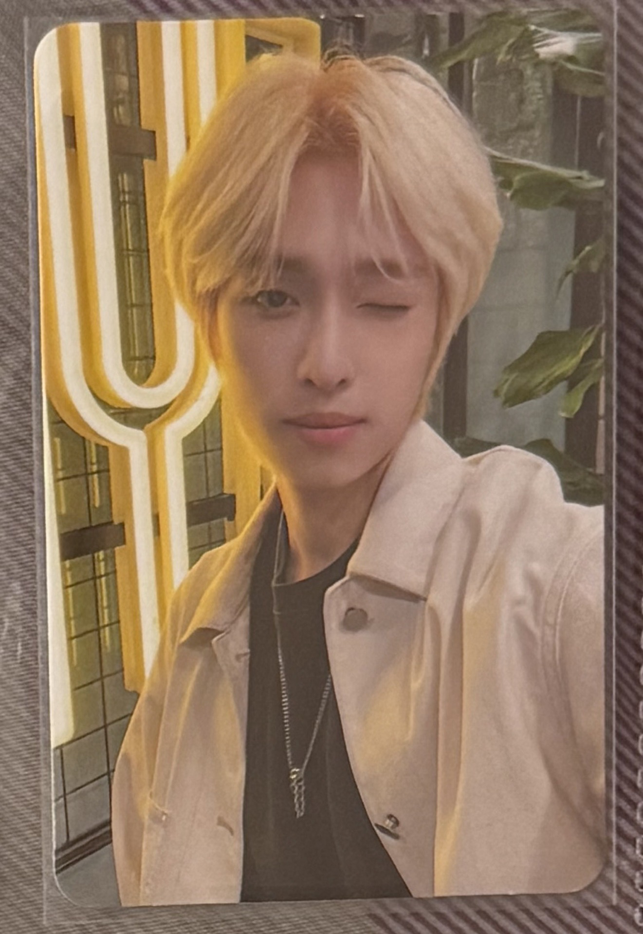 JYP GREEN PROJECT 周邊卡 B