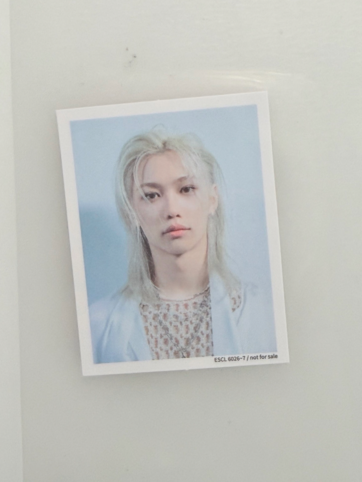 GIANT B盤證件照 菲