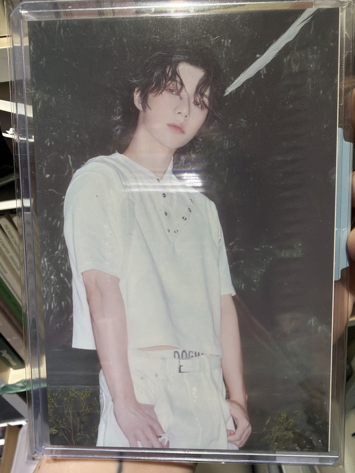 Starkissed 咖啡廳明信片 杋圭