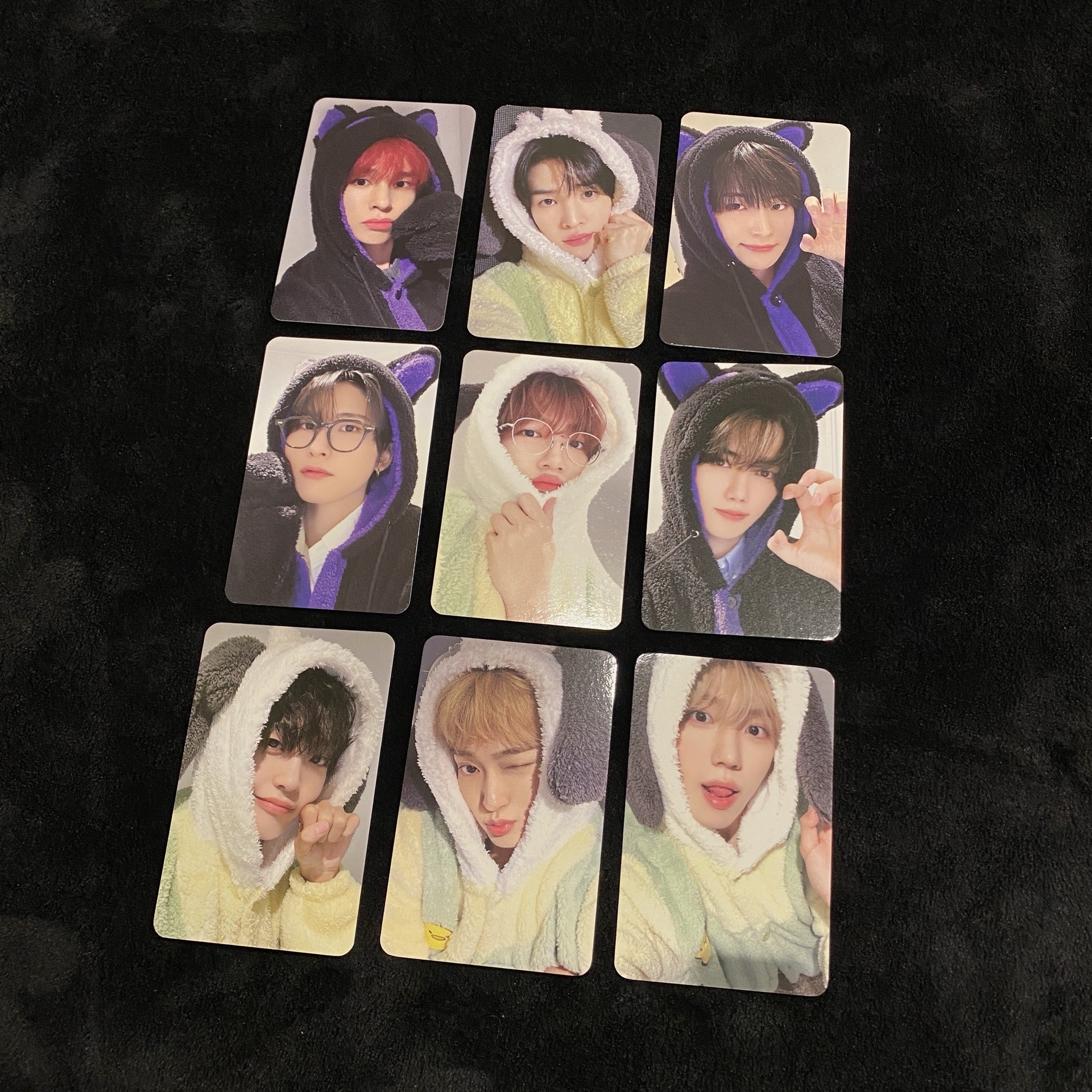 DtC MS 4.0 帕恰狗 酷洛米