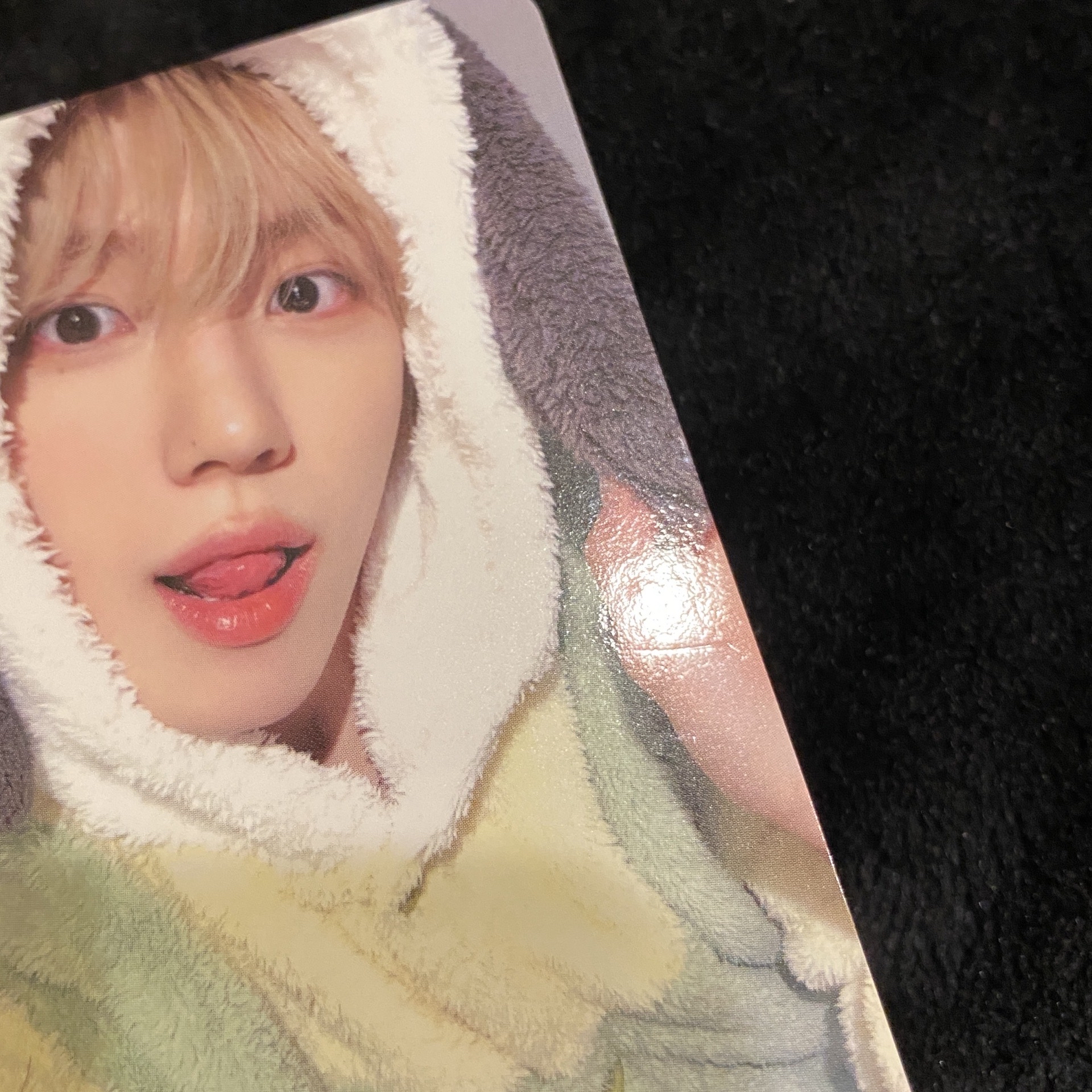 DtC MS 4.0 帕恰狗 酷洛米