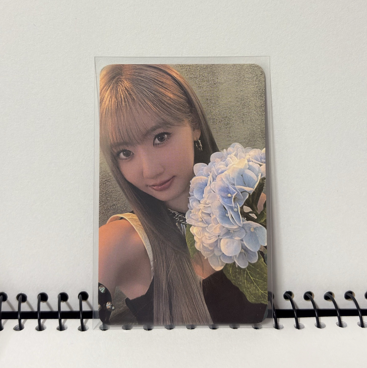 一些寶怪rami的卡