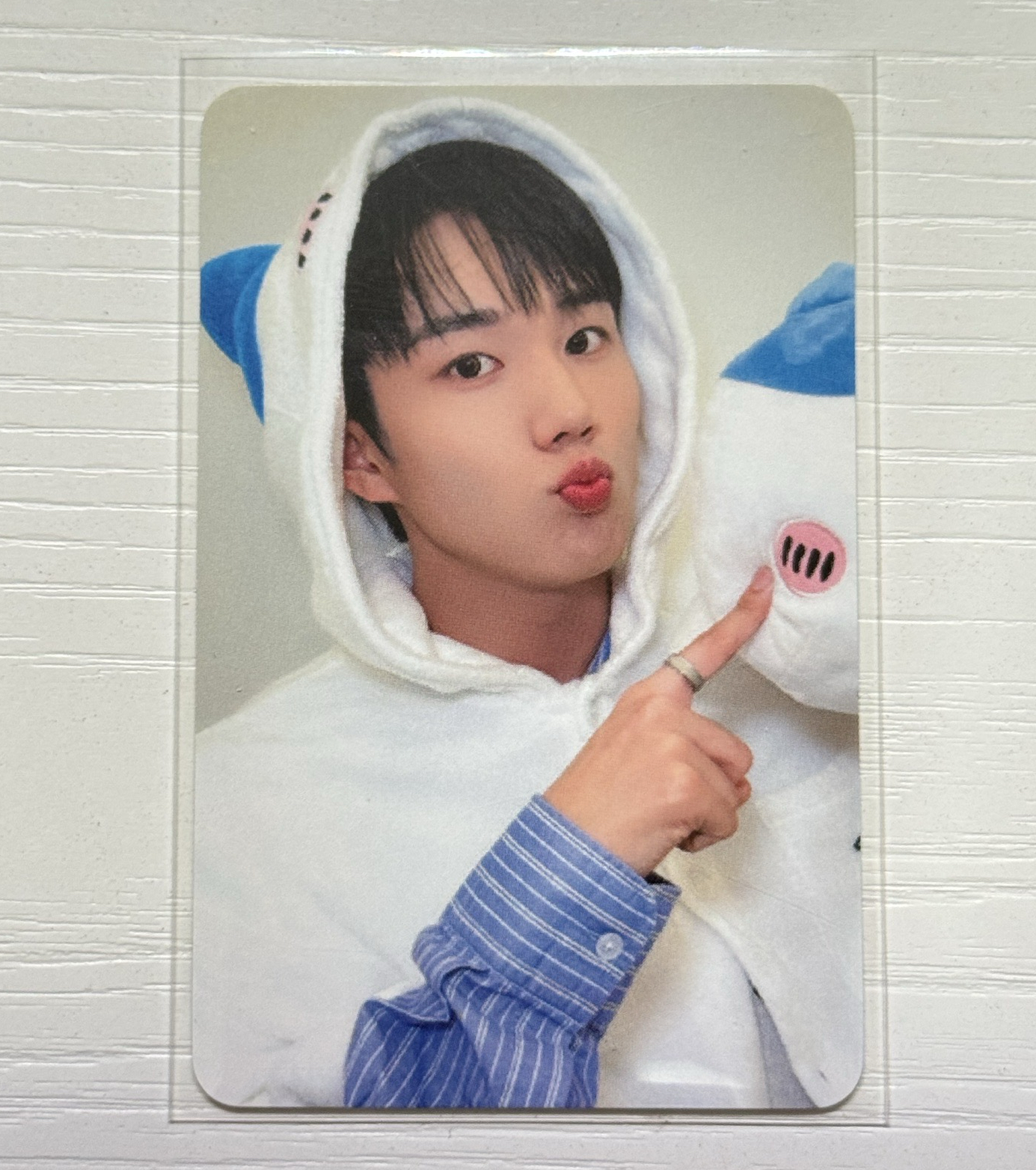 可直拍 小八卡 餘 jongseob intak 