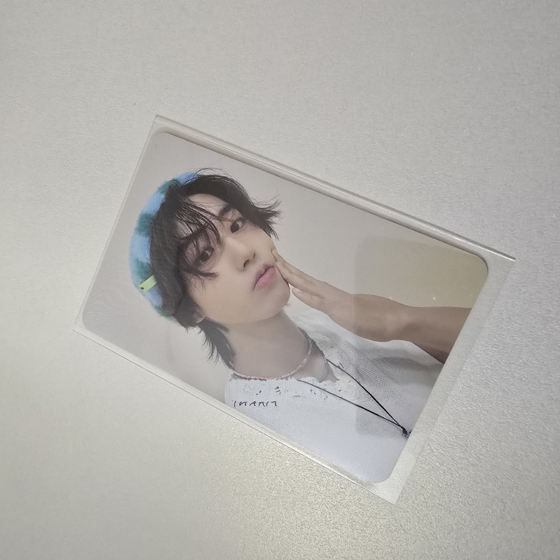 🐿ATE 毛茸茸城