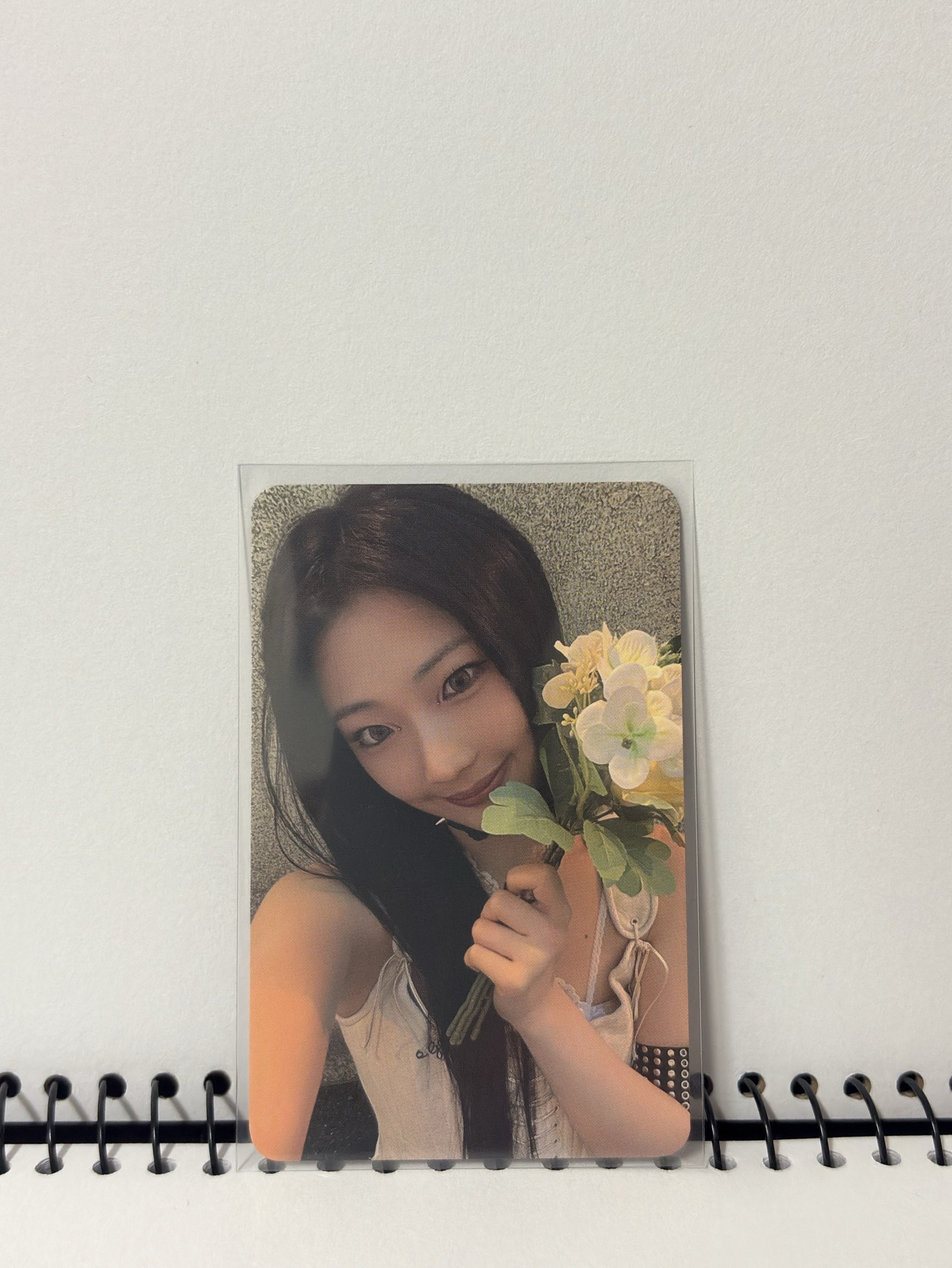 一些寶怪Ruka 的卡