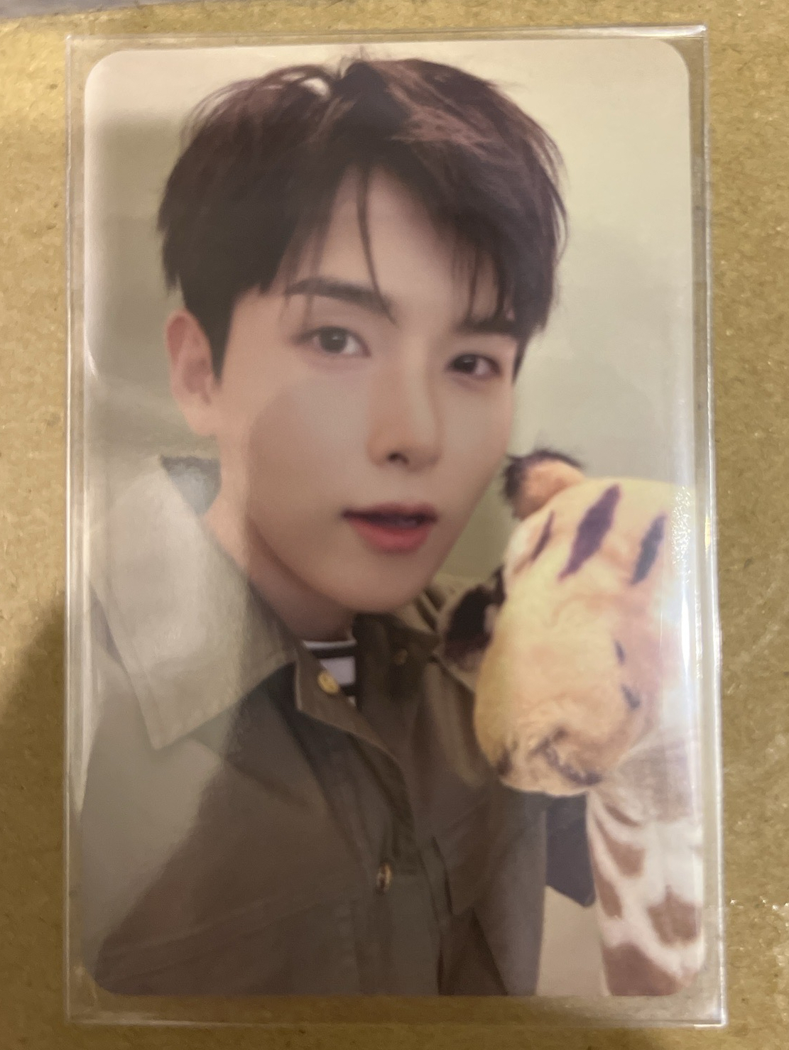 24年曆 年曆卡 厲旭