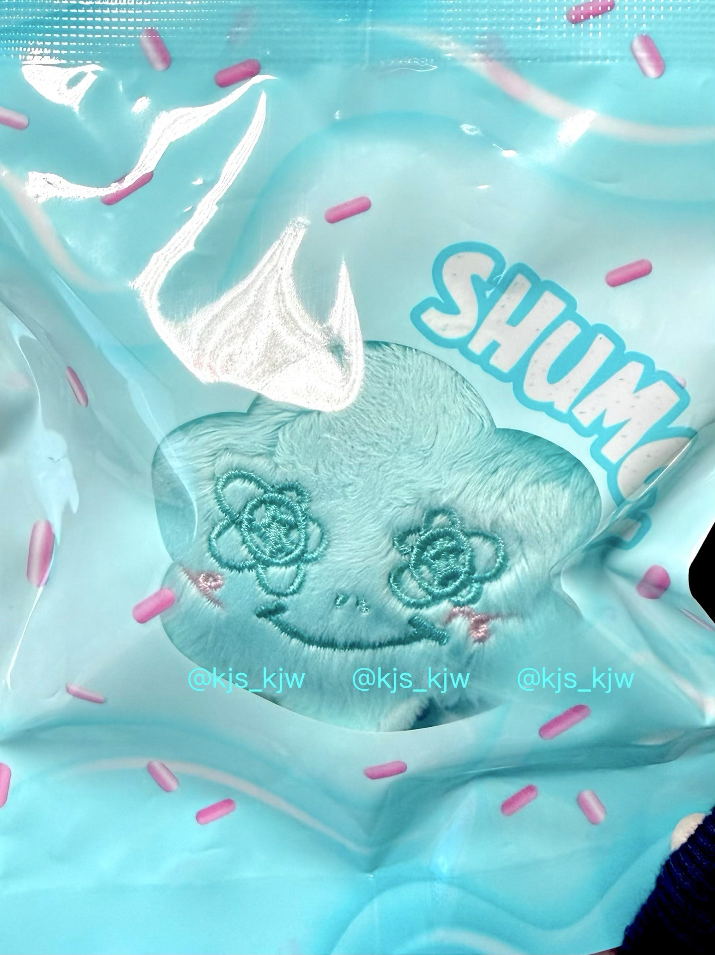 Jisoo 台灣限定小灰塵Shumon 未拆