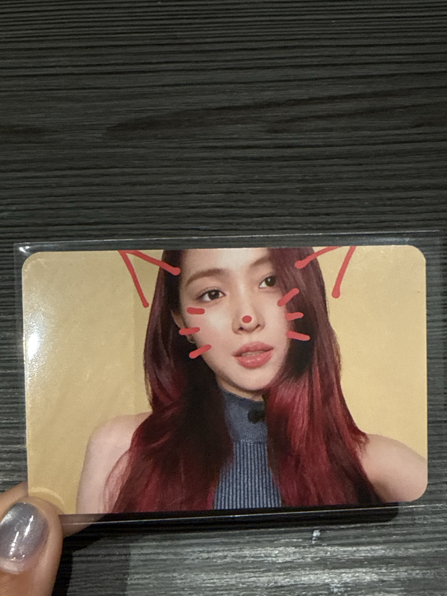 gwbg ms1.0 寵物鏡頭