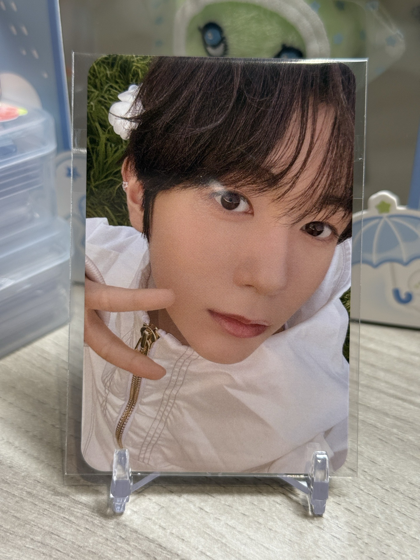 WISHLIST日專 mumo特典卡遼🦭