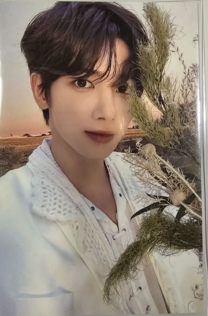 promise 綜卡花環顯✨️