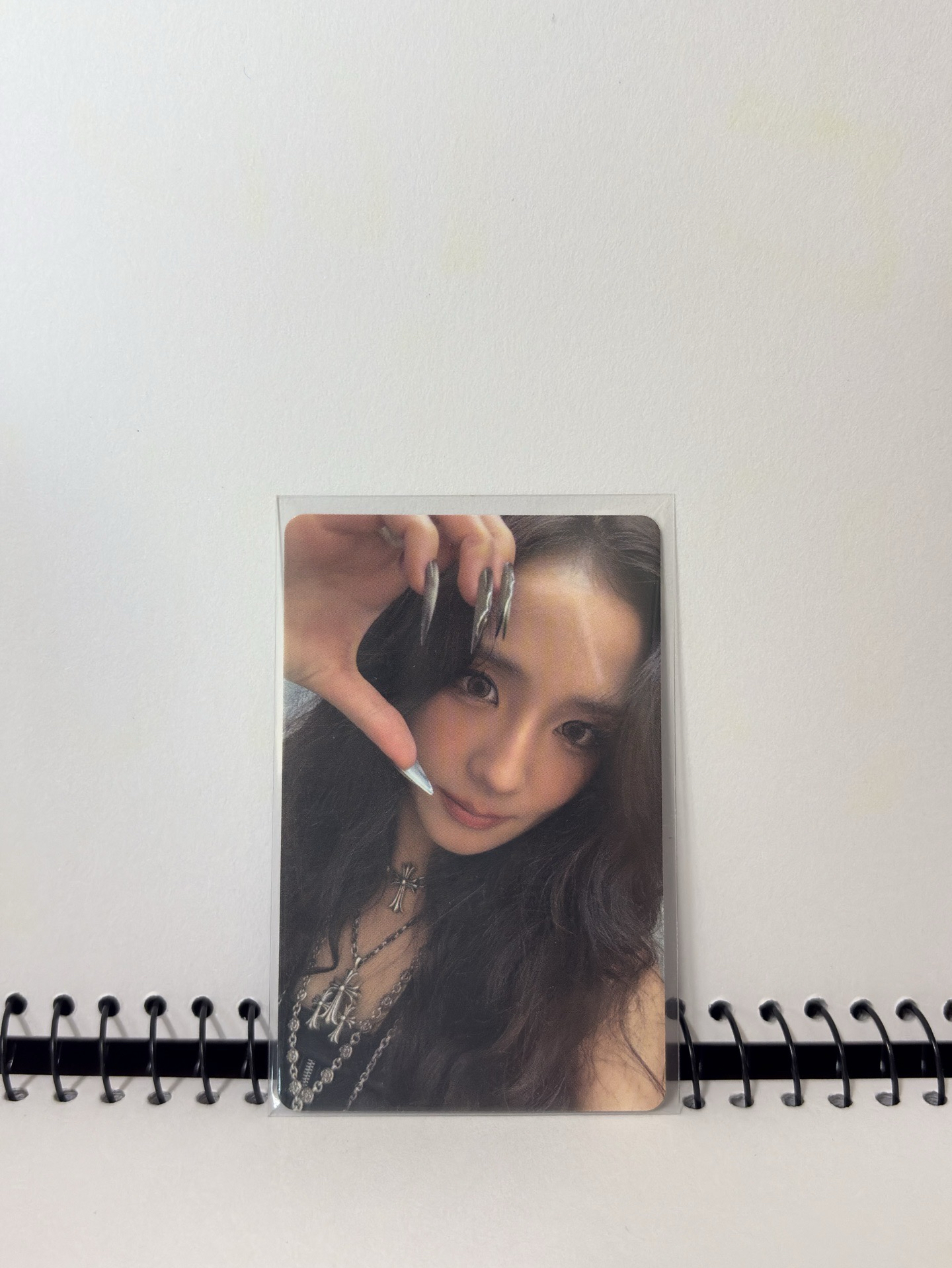 wvs 終場會員禮秀