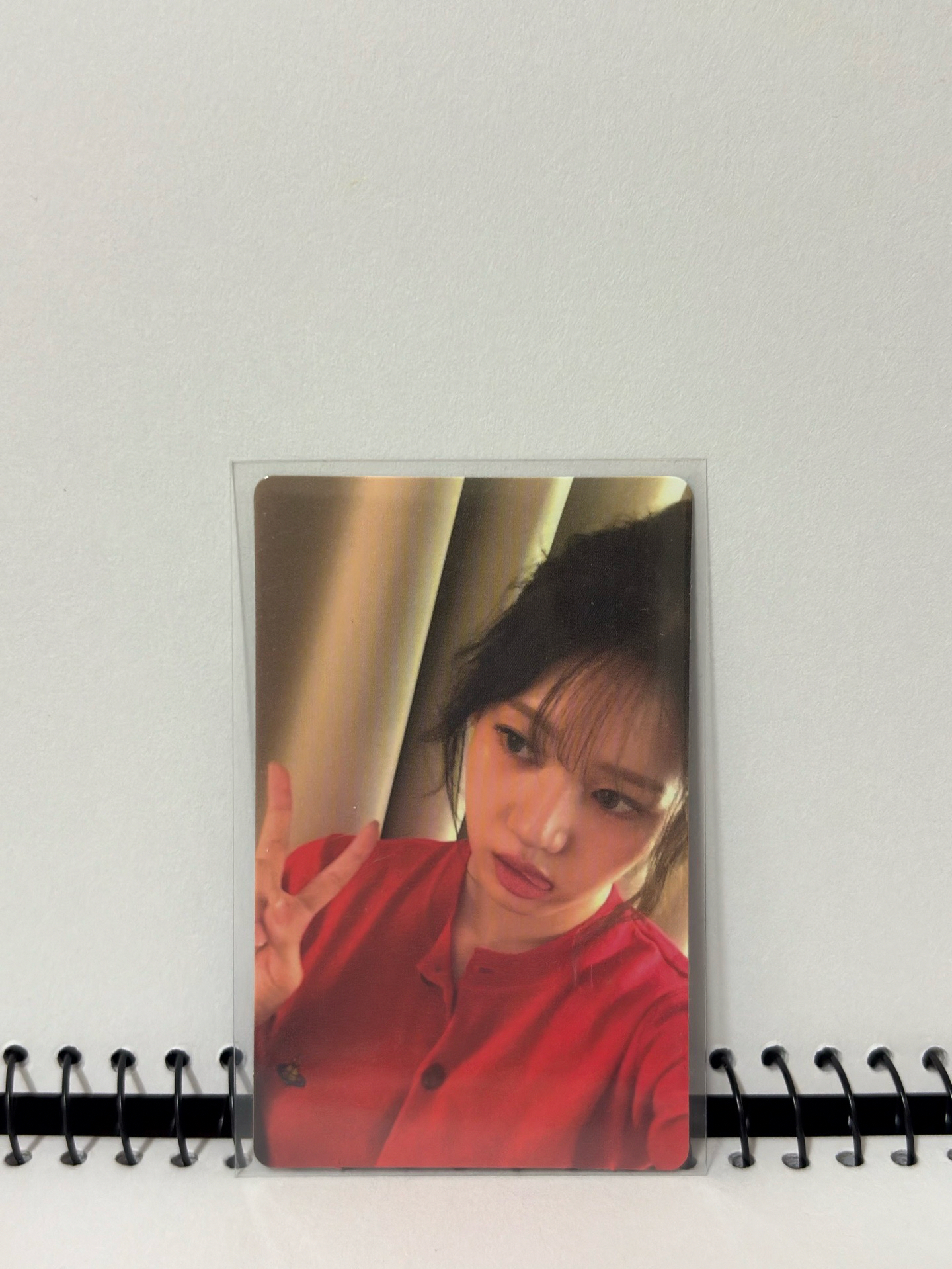 一些寶怪Rora的卡