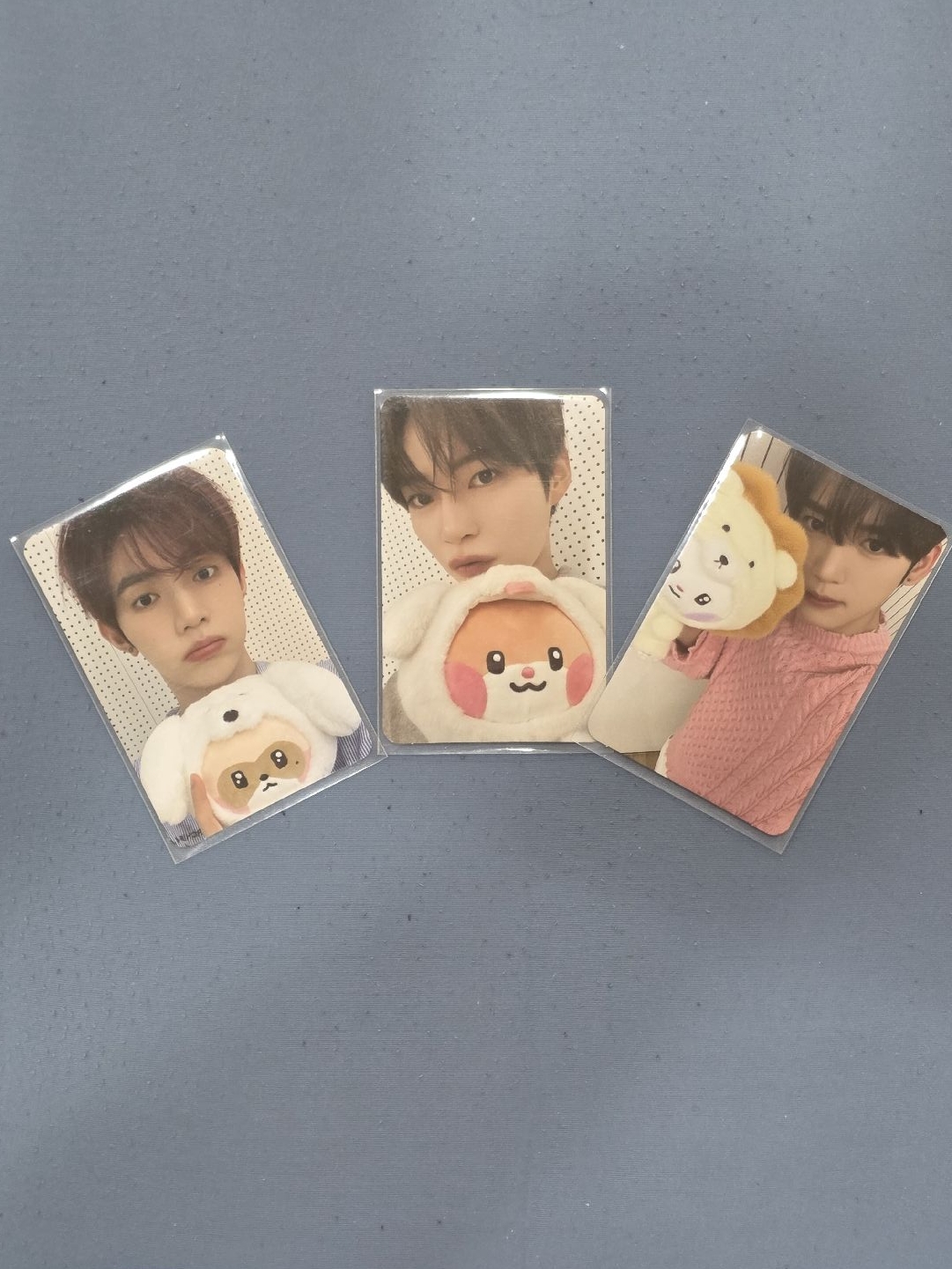 ZERONI FLUFFY Wonderland 快閃店滿額卡