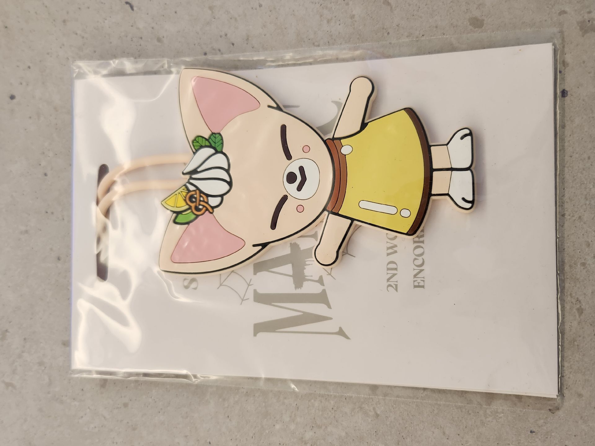 [SKZ]全新！stray kids IN 寅 Foxiny 行李吊牌