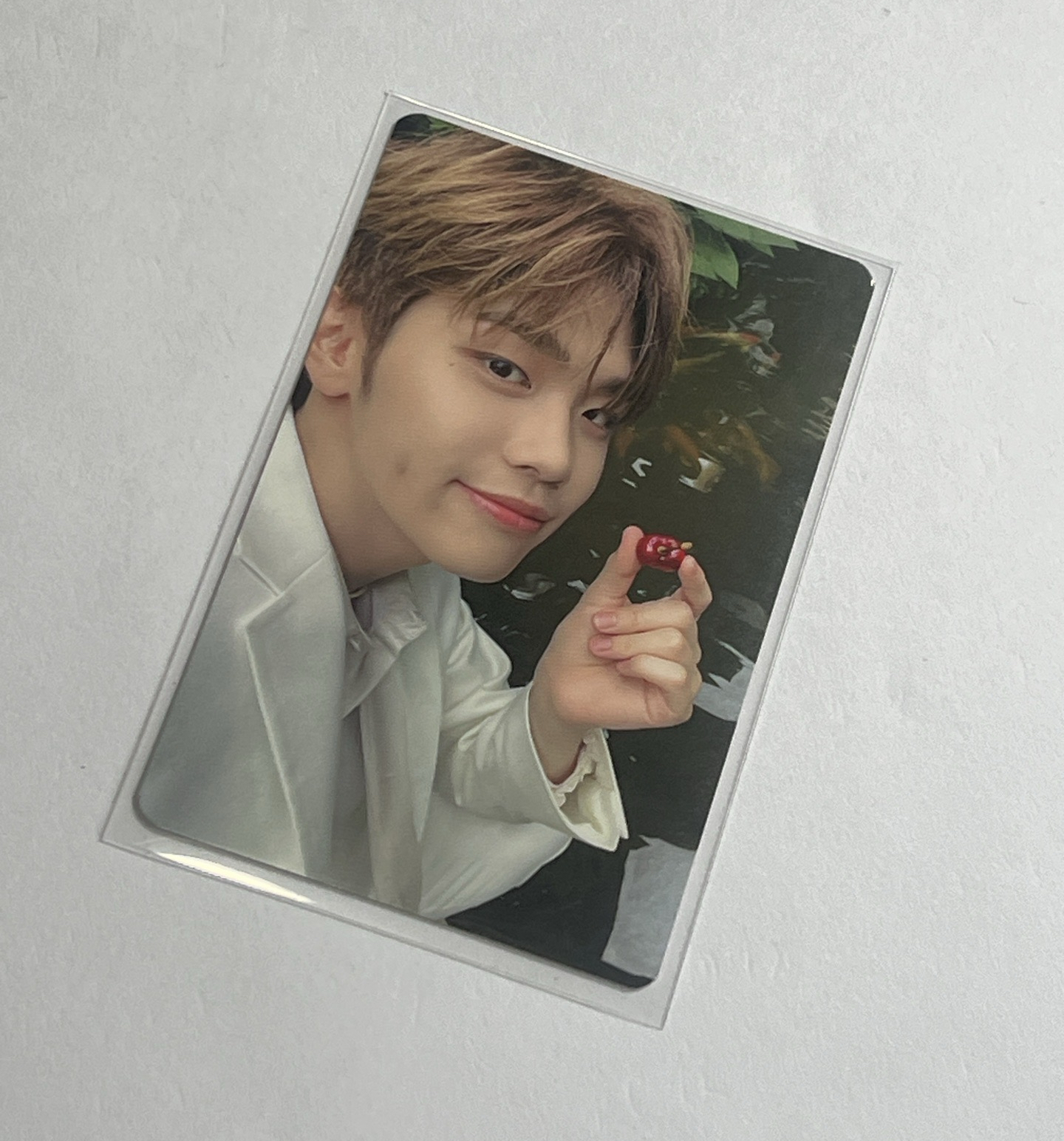 金泰來 23年fancon 隨機卡