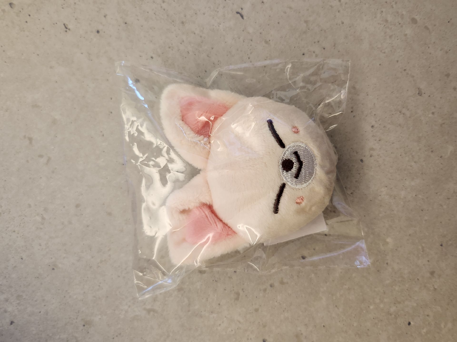 [SKZ]stray kids IN Foxiny 寅 日本快閃店磁鐵