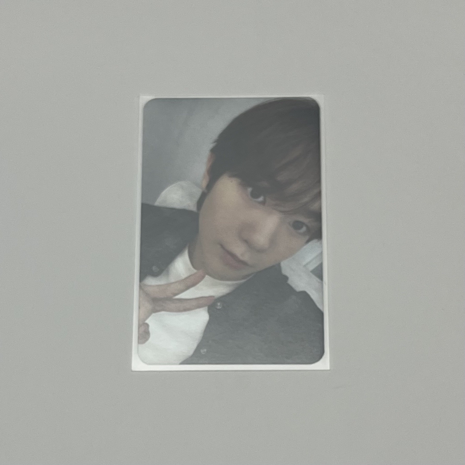 Steady ITTA 簽售卡