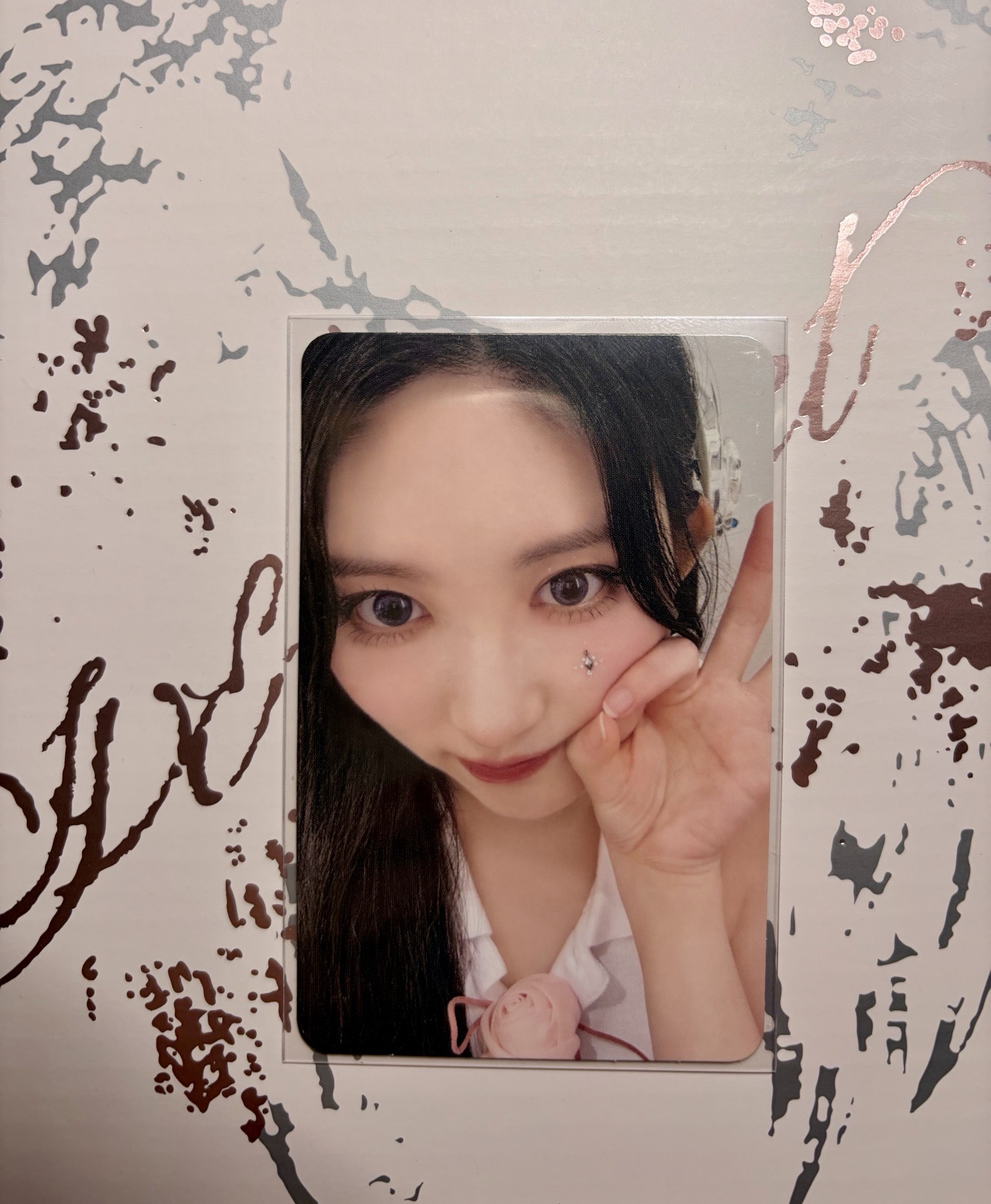 現貨/ DVD船特秋