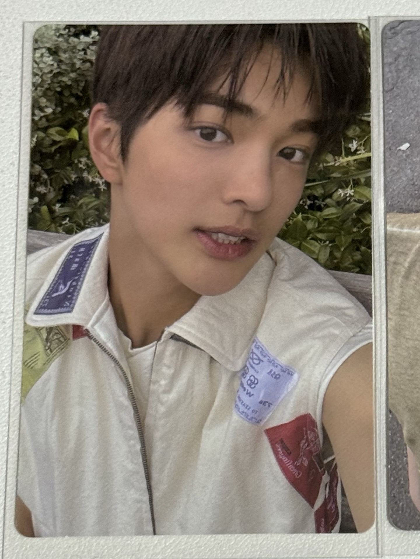 cortis安乾鎬小卡