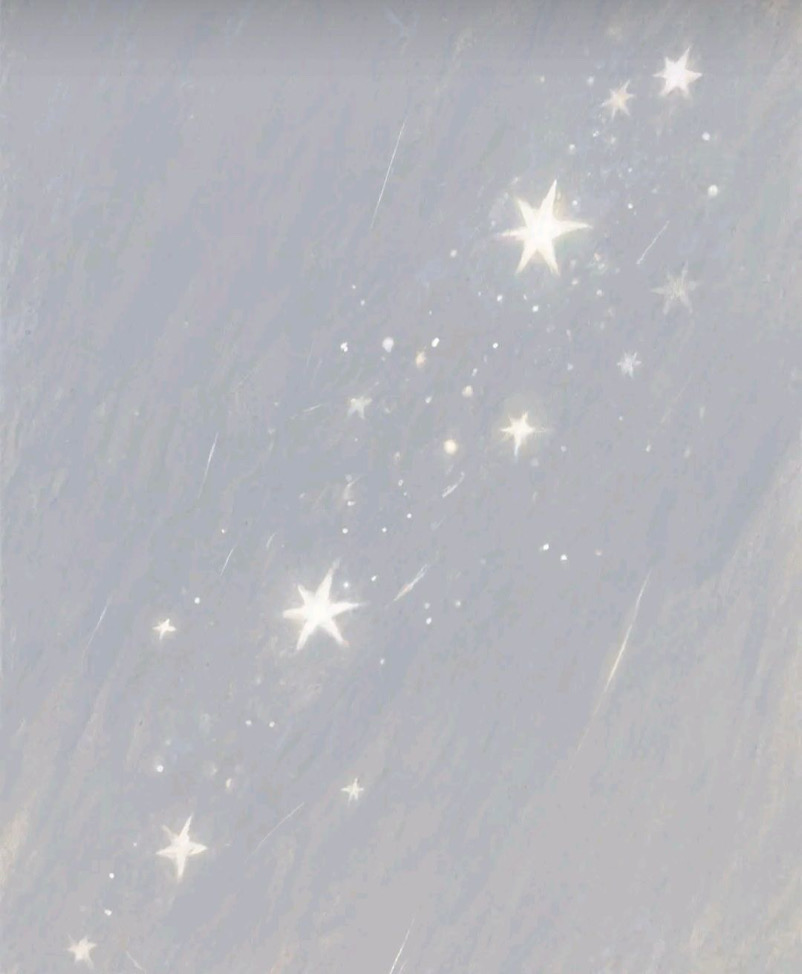 y（請看個人簡介）