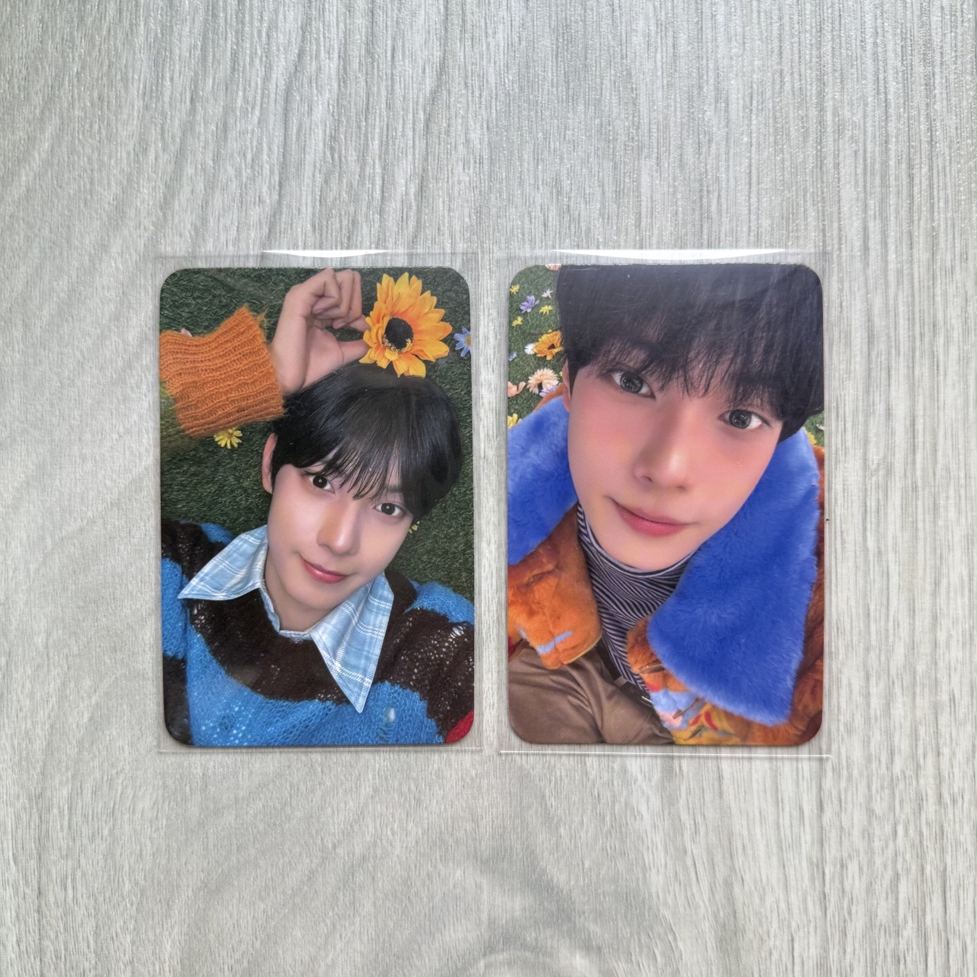 崔立于 Sweet DREAM 打歌卡