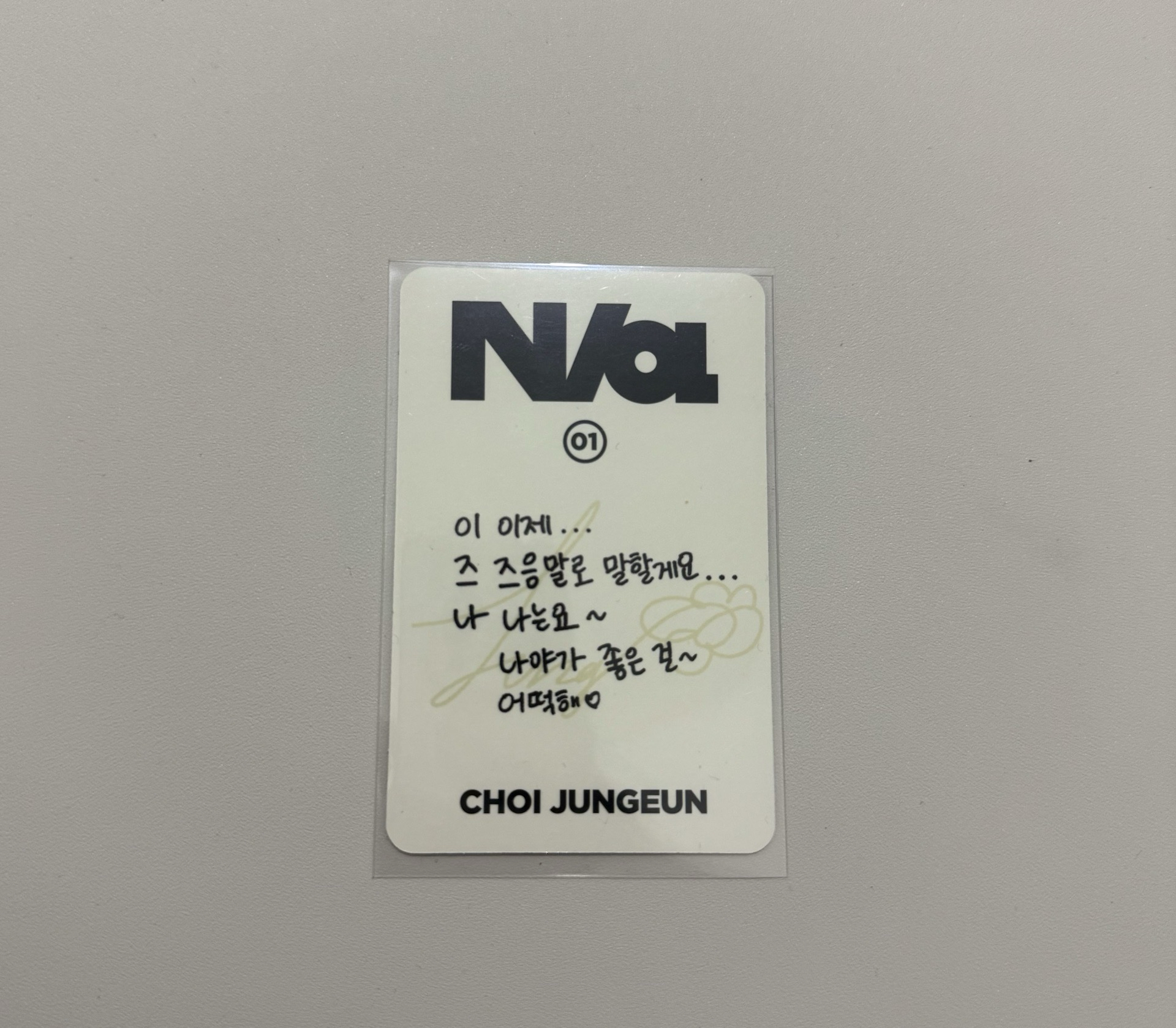 izna 庭銀 迷一專輯卡