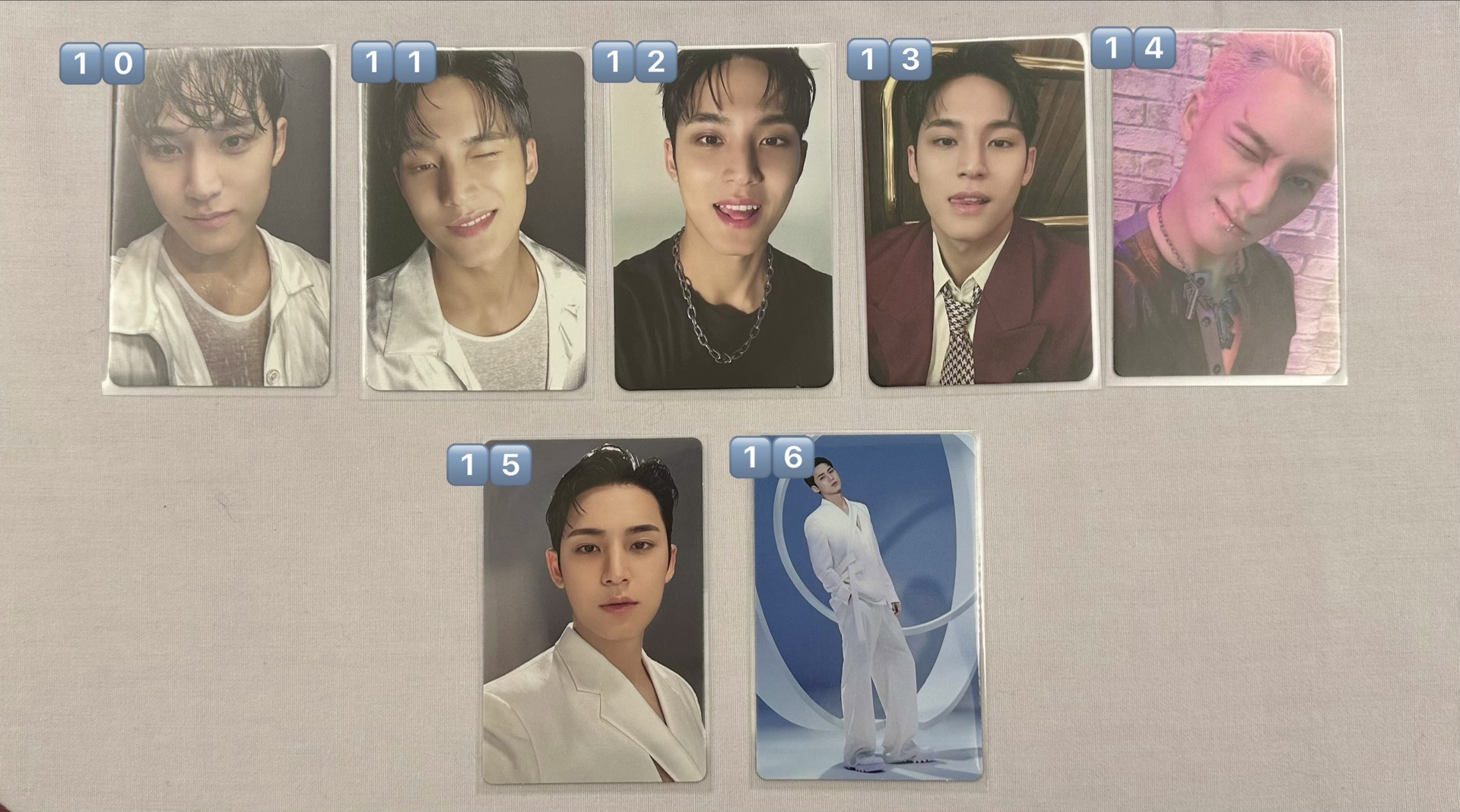 🩵奎卡🌻🐶🩷