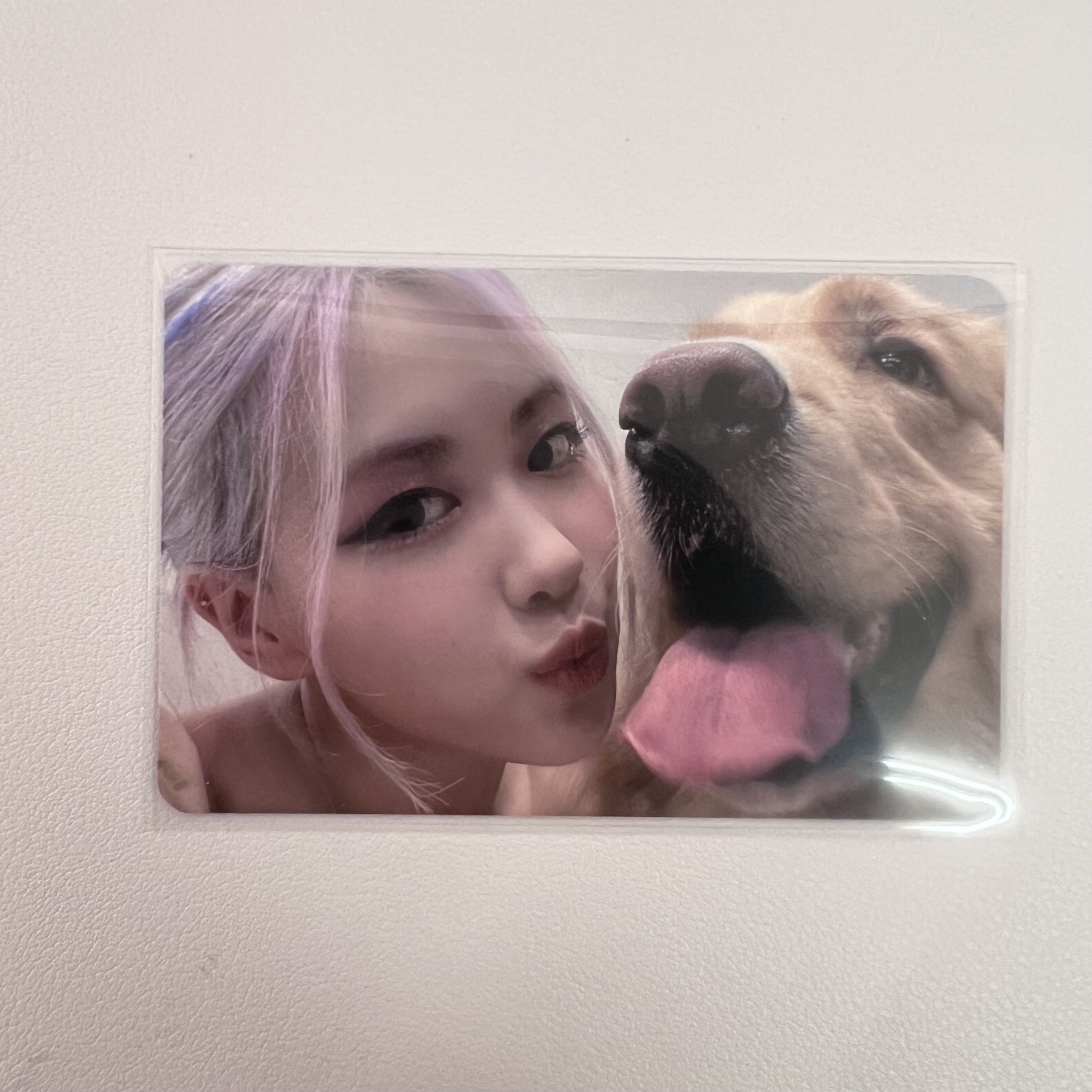 Rosé k4特典 狗狗肉