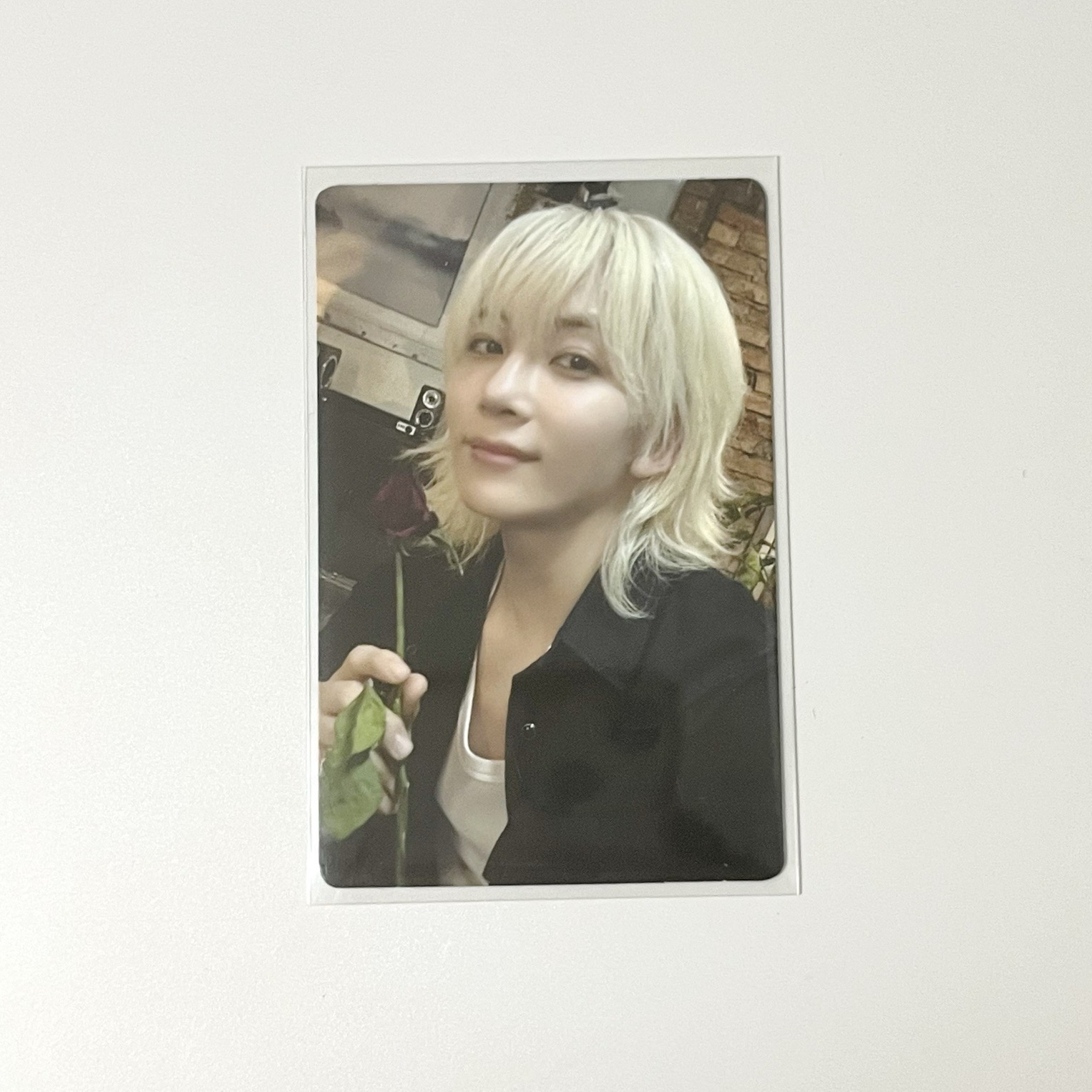 🐰淨淨 mini12KIT