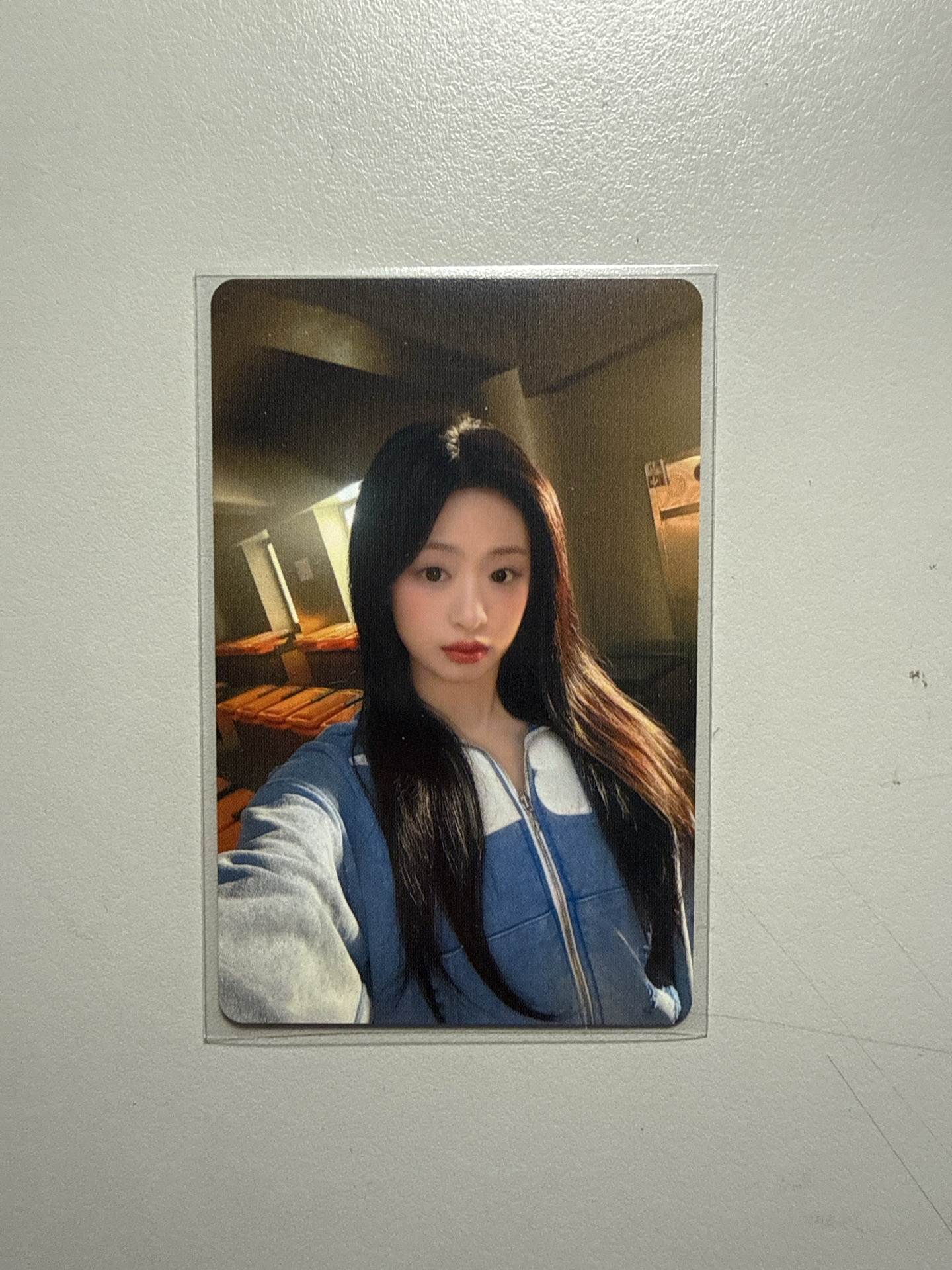 賢（需多帶除角外任一成員）