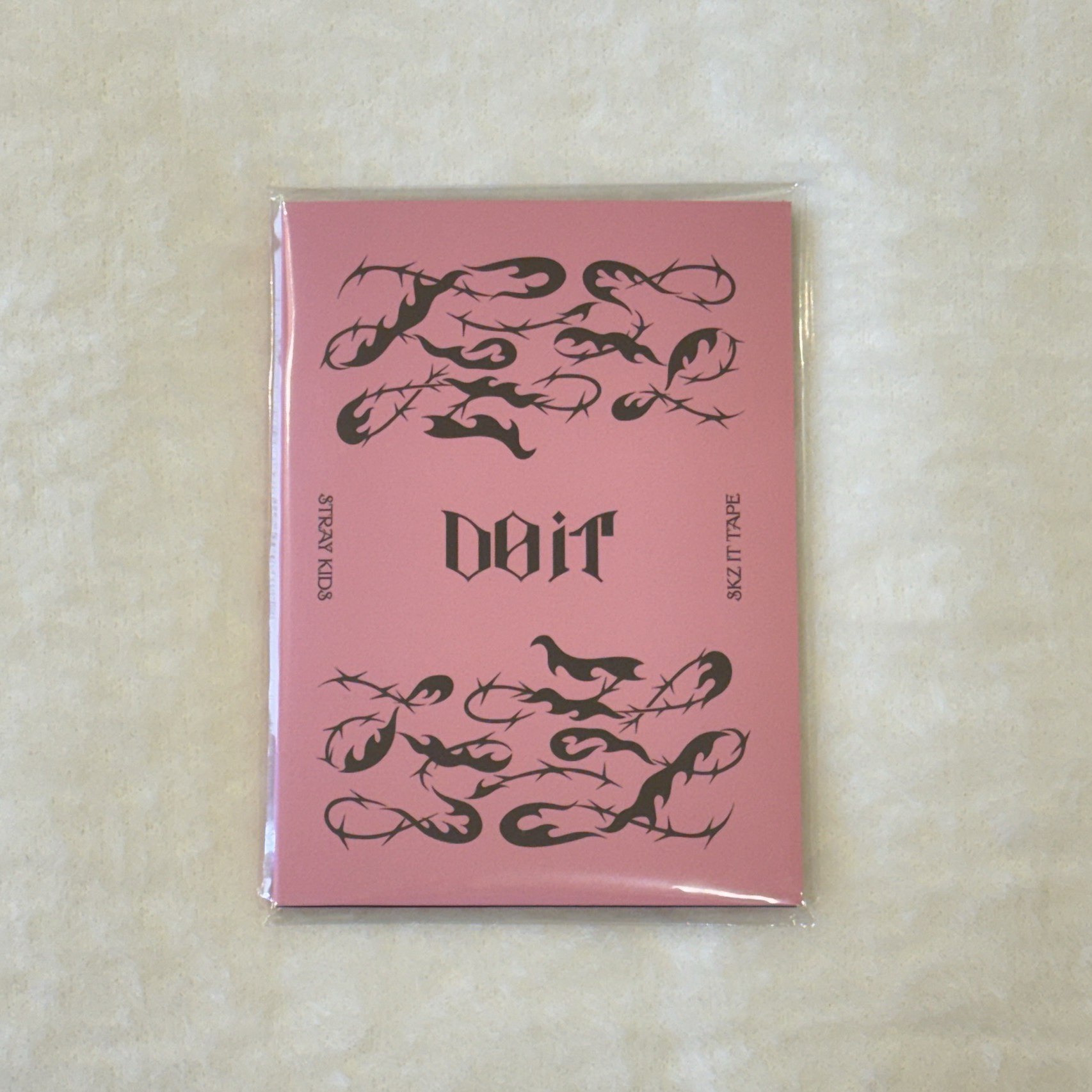 Stray kids Do it快閃店 金昇玟 貼紙書 貼紙本