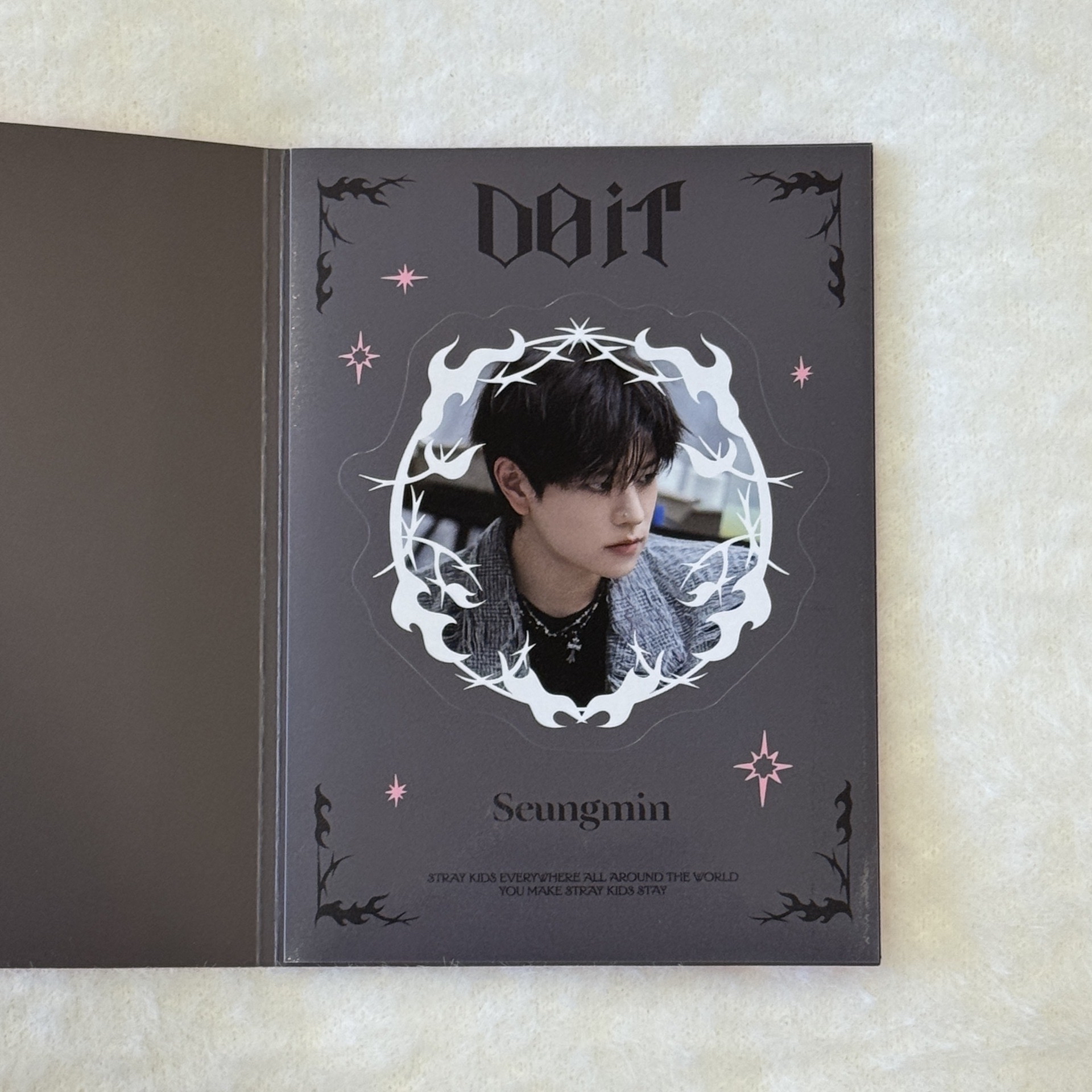 Stray kids Do it快閃店 金昇玟 貼紙書 貼紙本