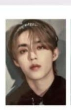 看圖片的，圖鑑剛好沒有