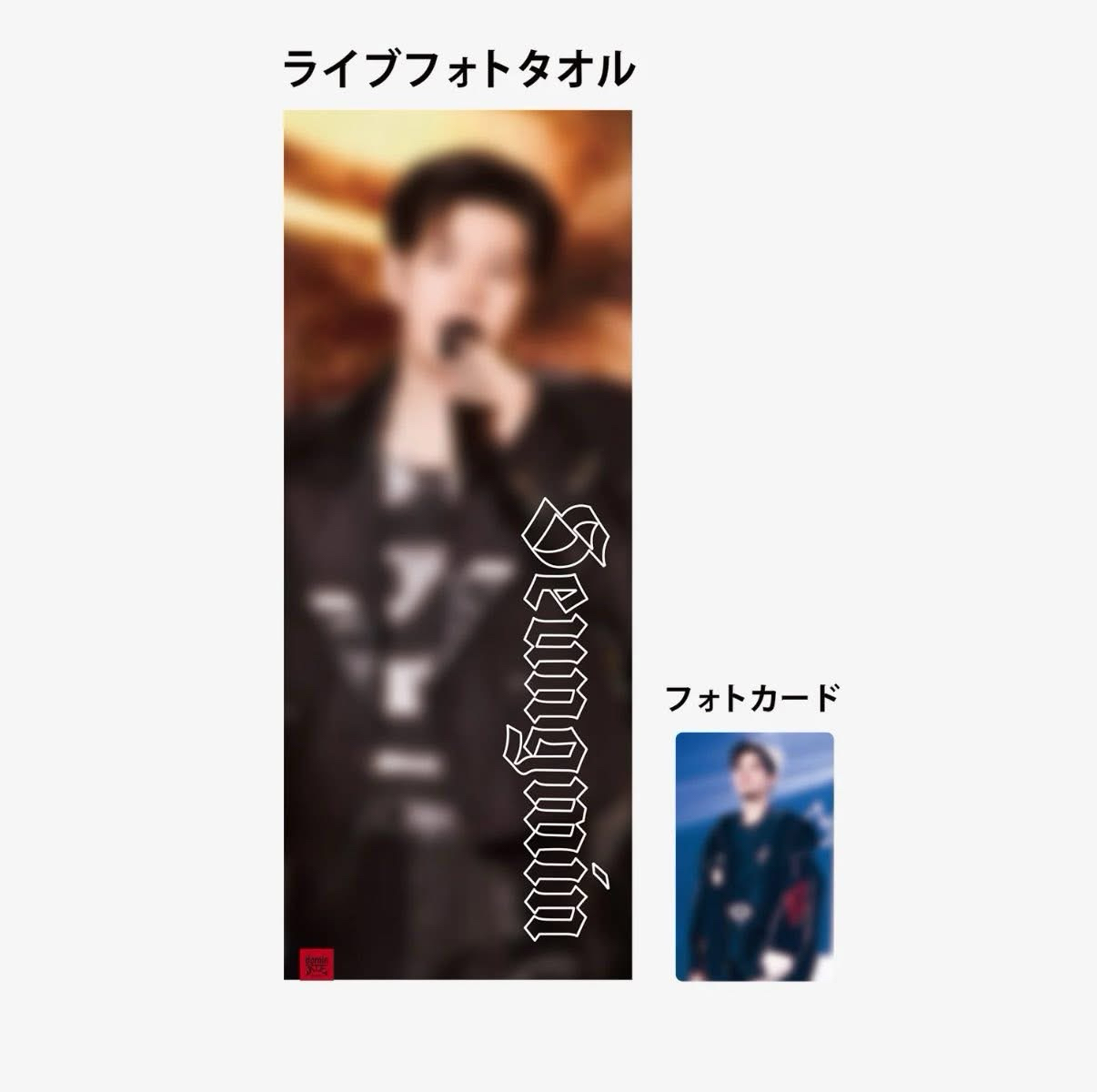 Stray Kids World Tour＜dominATE JAPAN＞-手幅含小卡-玟