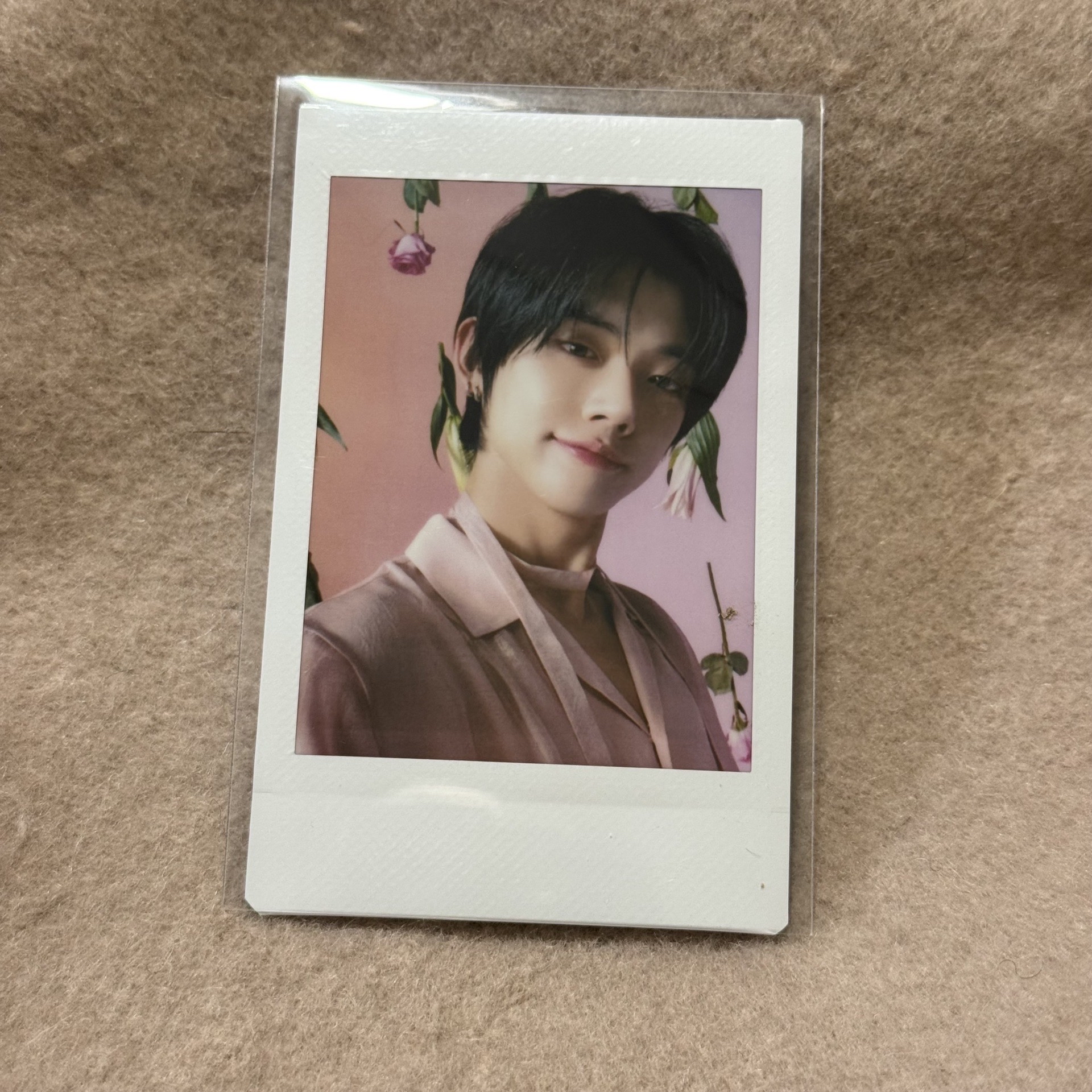 日巡 拍立得 竣圭寧