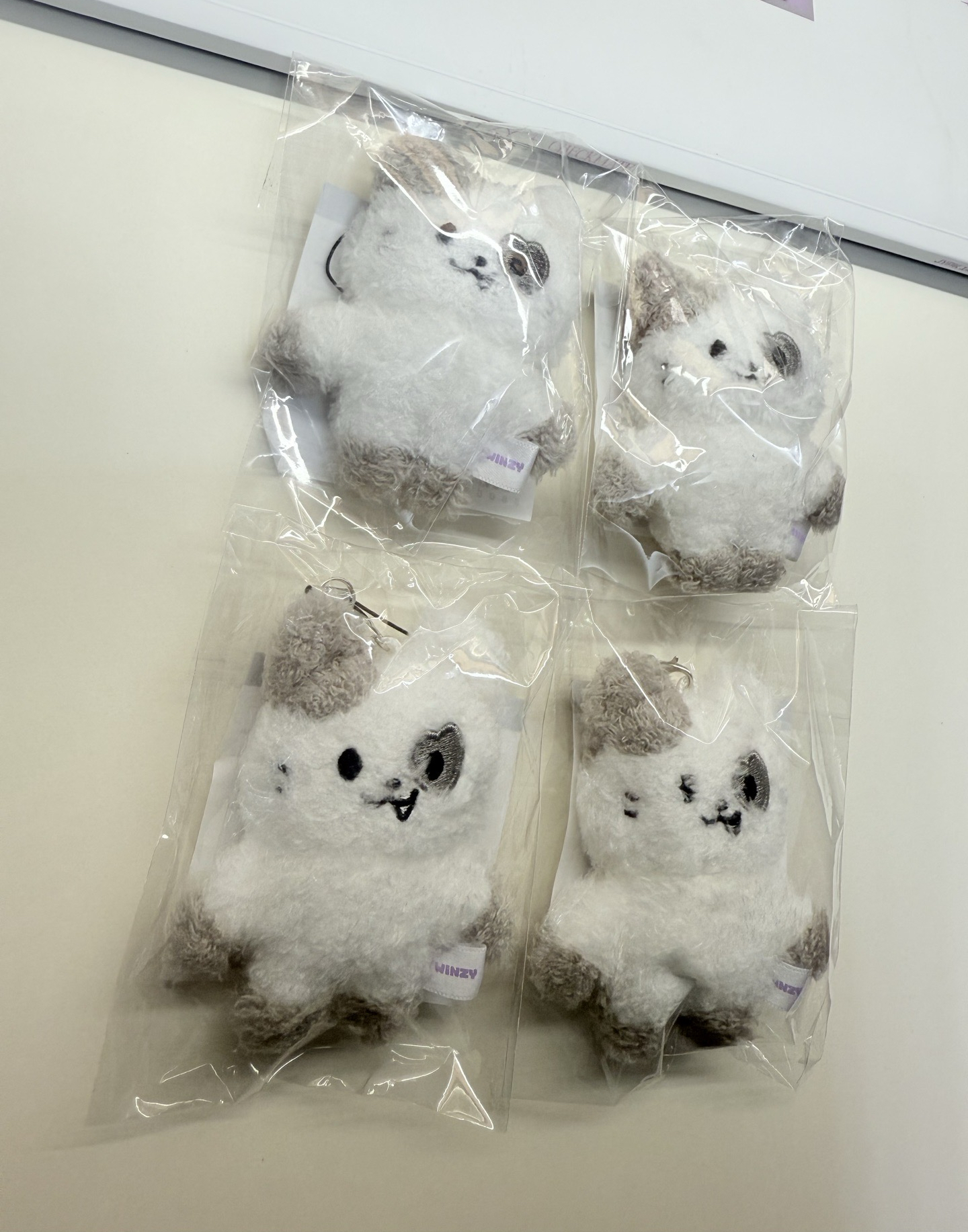 2025 FM 吊娃 TWINZY 迷你娃娃 志