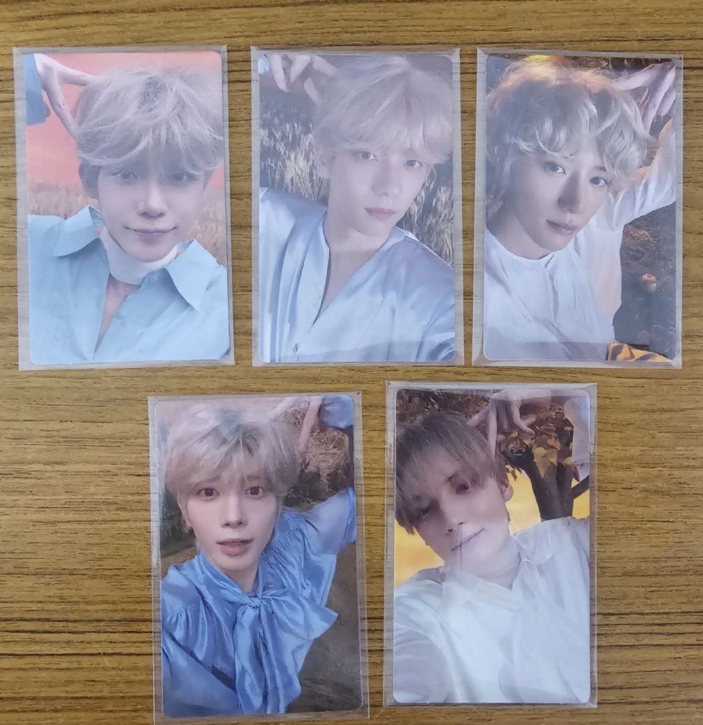 迷六 特典貓耳系列✨️