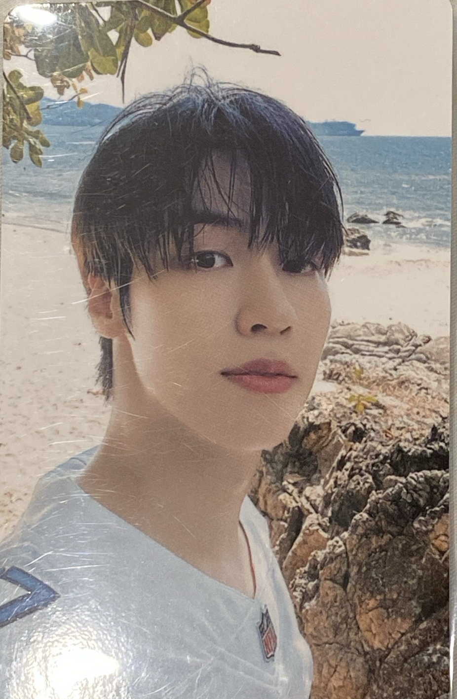 李承協 寫真小卡 