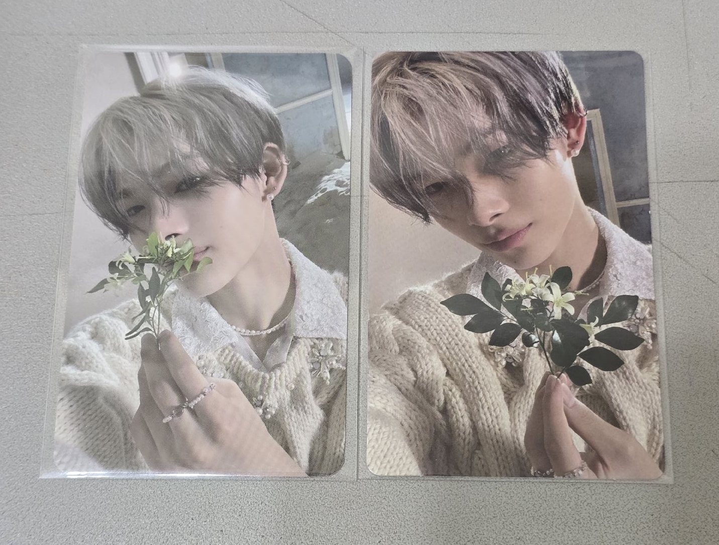 迷五sw 1.0 特典+KALPA專卡