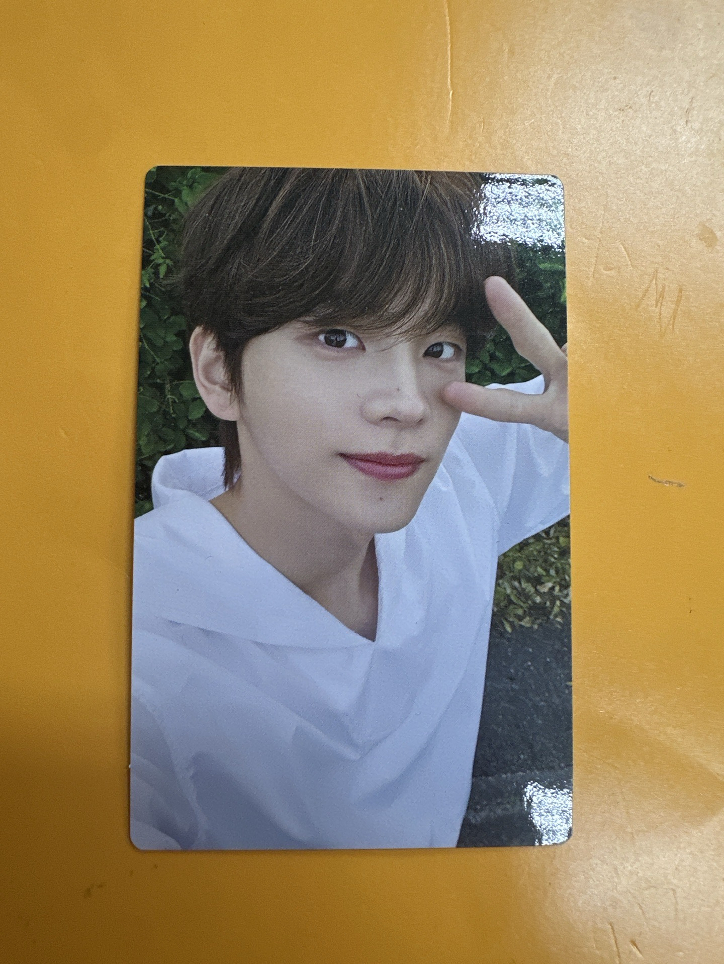 申惟(請多帶賣場任一成員