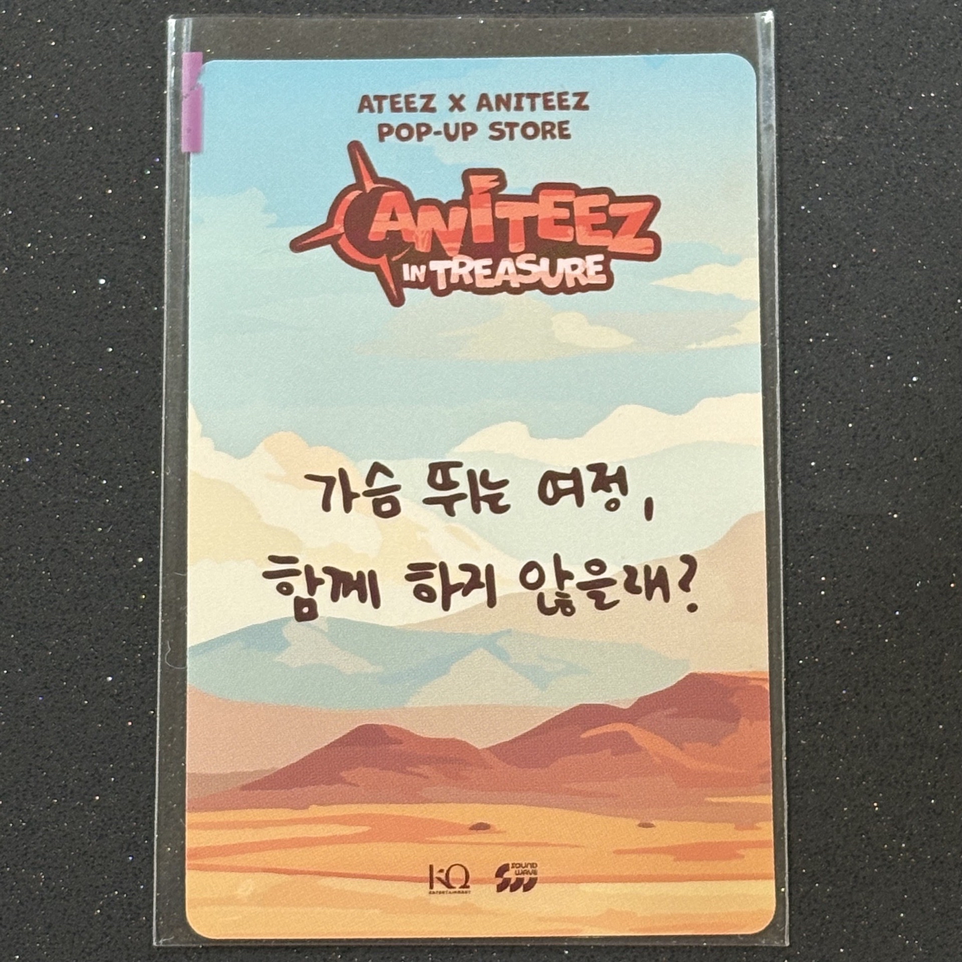 ANITEEZ TREASURE 5萬滿額卡 宋旼琦