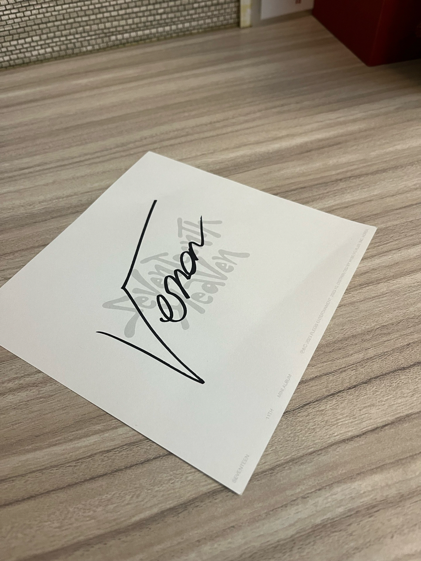 SEVENTEEN 空專大盤 Vernon 簽*2