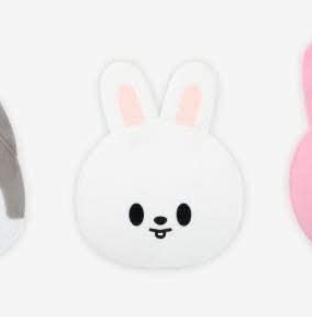 李畢 豆豆眼扇套 全新未拆