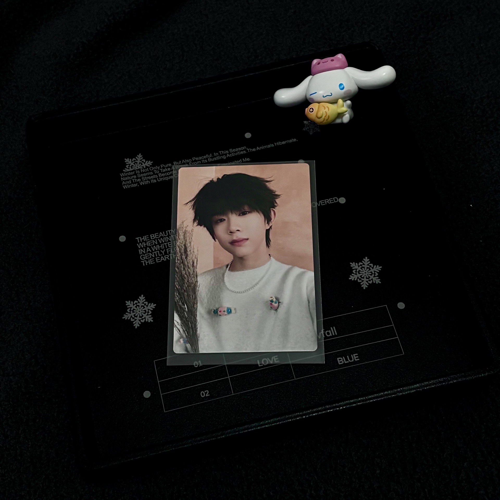 陳奕恆｜25’新音｜C組卡