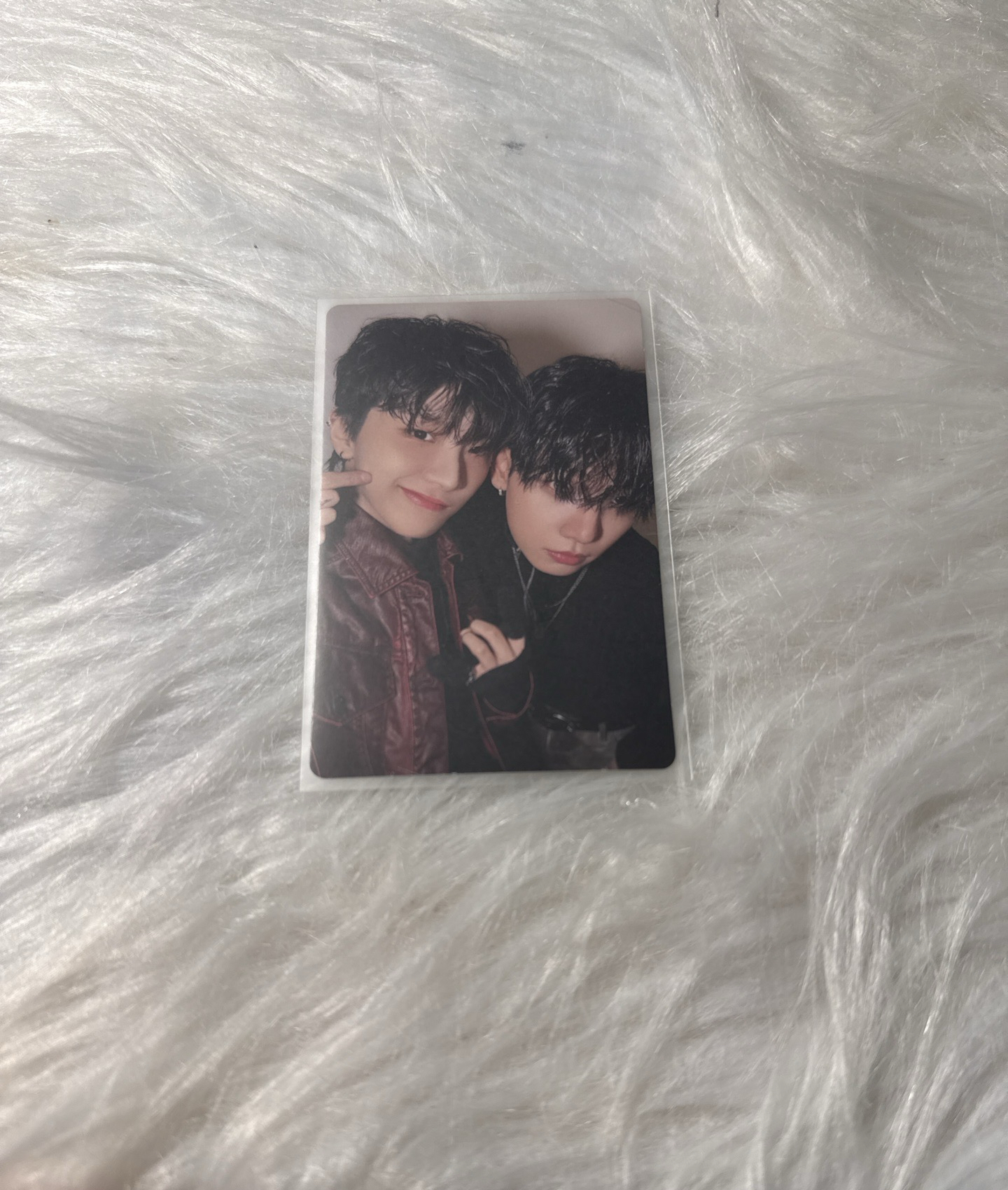 No Genre 專輯卡 雙人卡 36