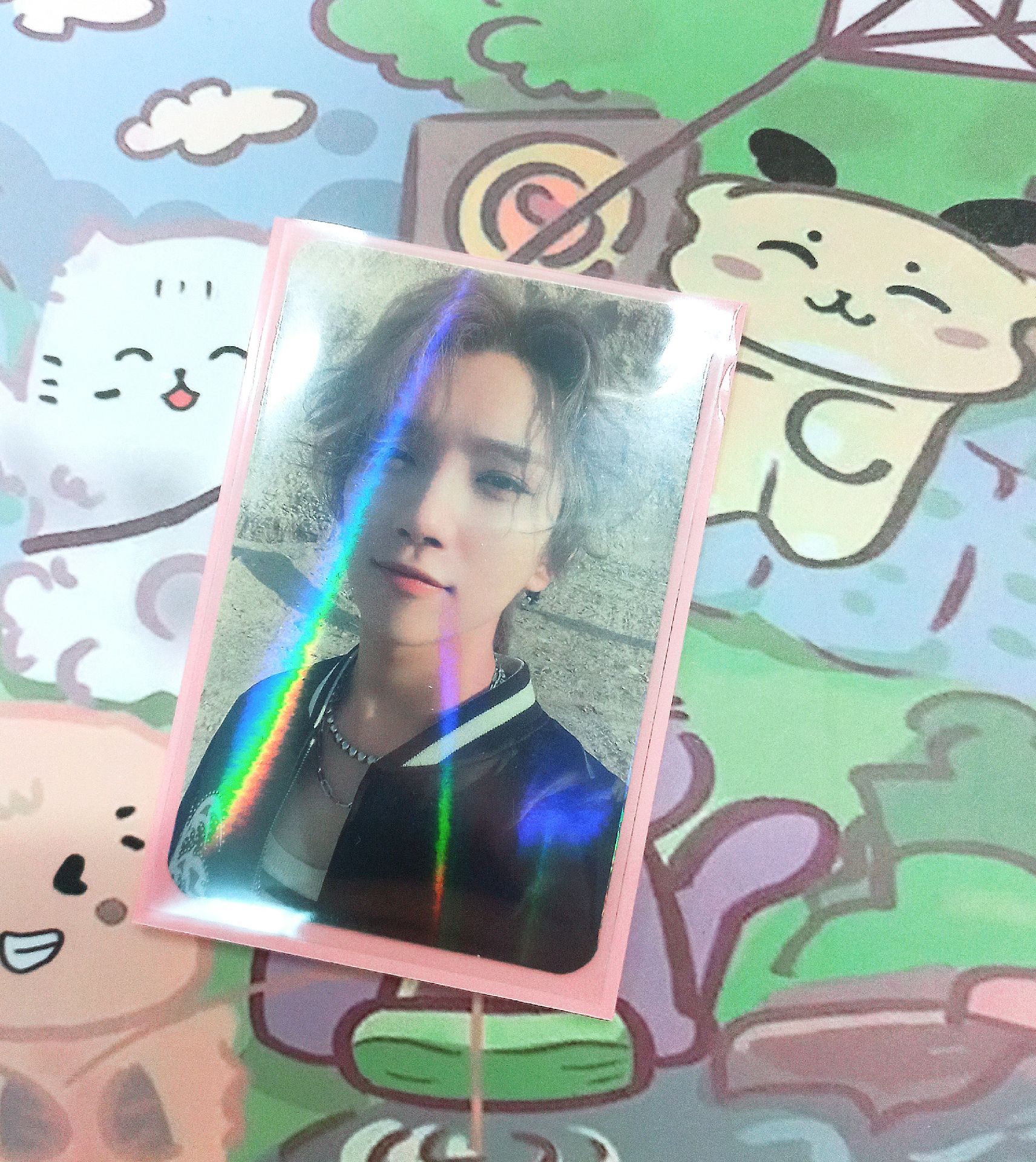 [🐰現貨]知秀 正四台閃中文卡背(要多帶)