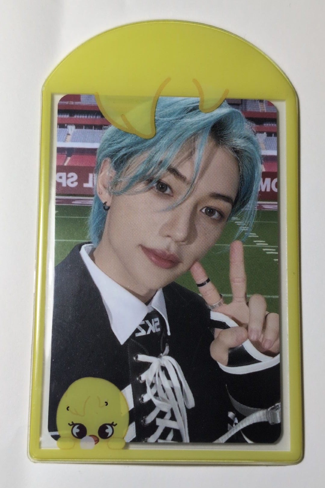 Stray Kids 日本蛋巡 卡套卡 菲